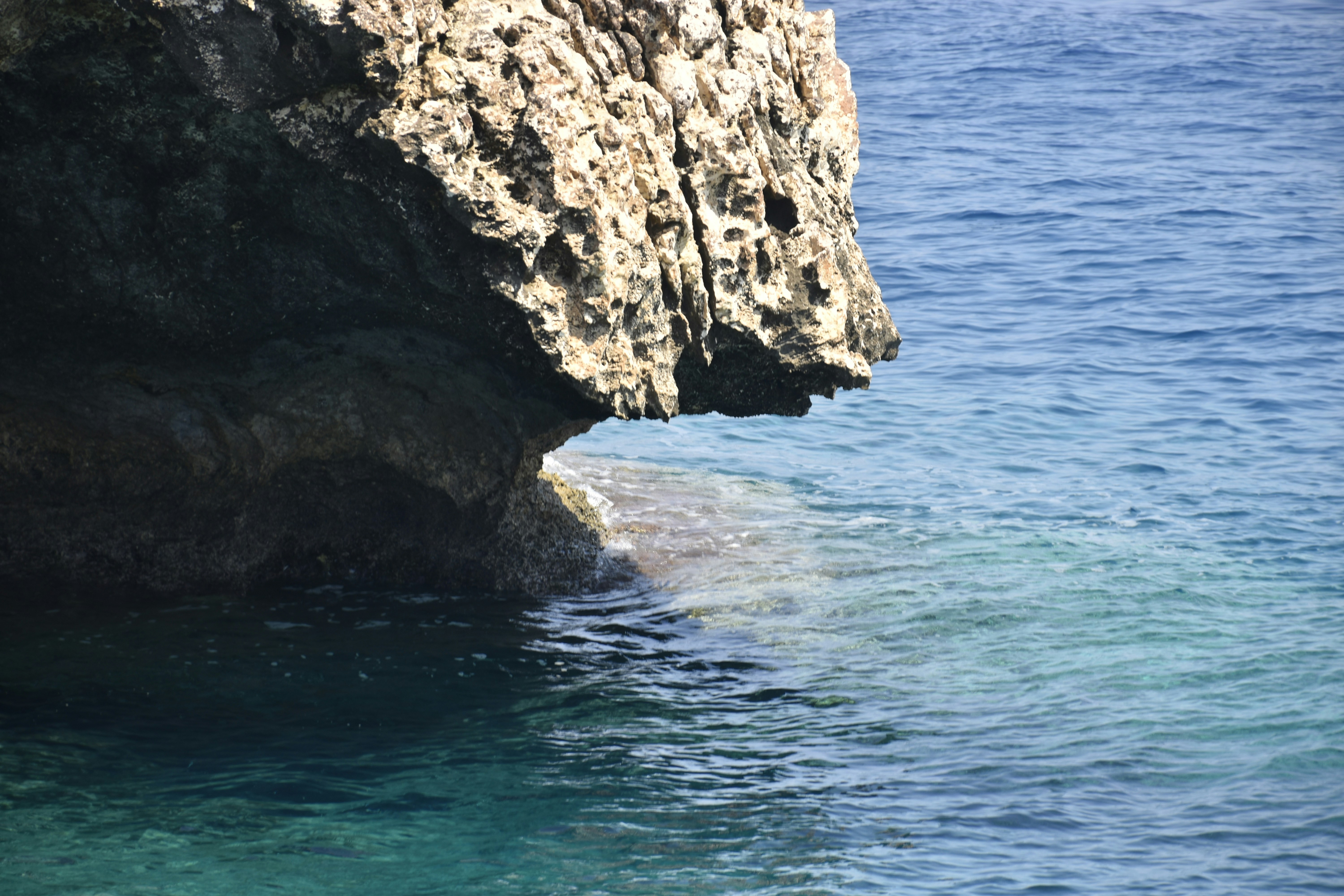 Photo by znphotogarphy