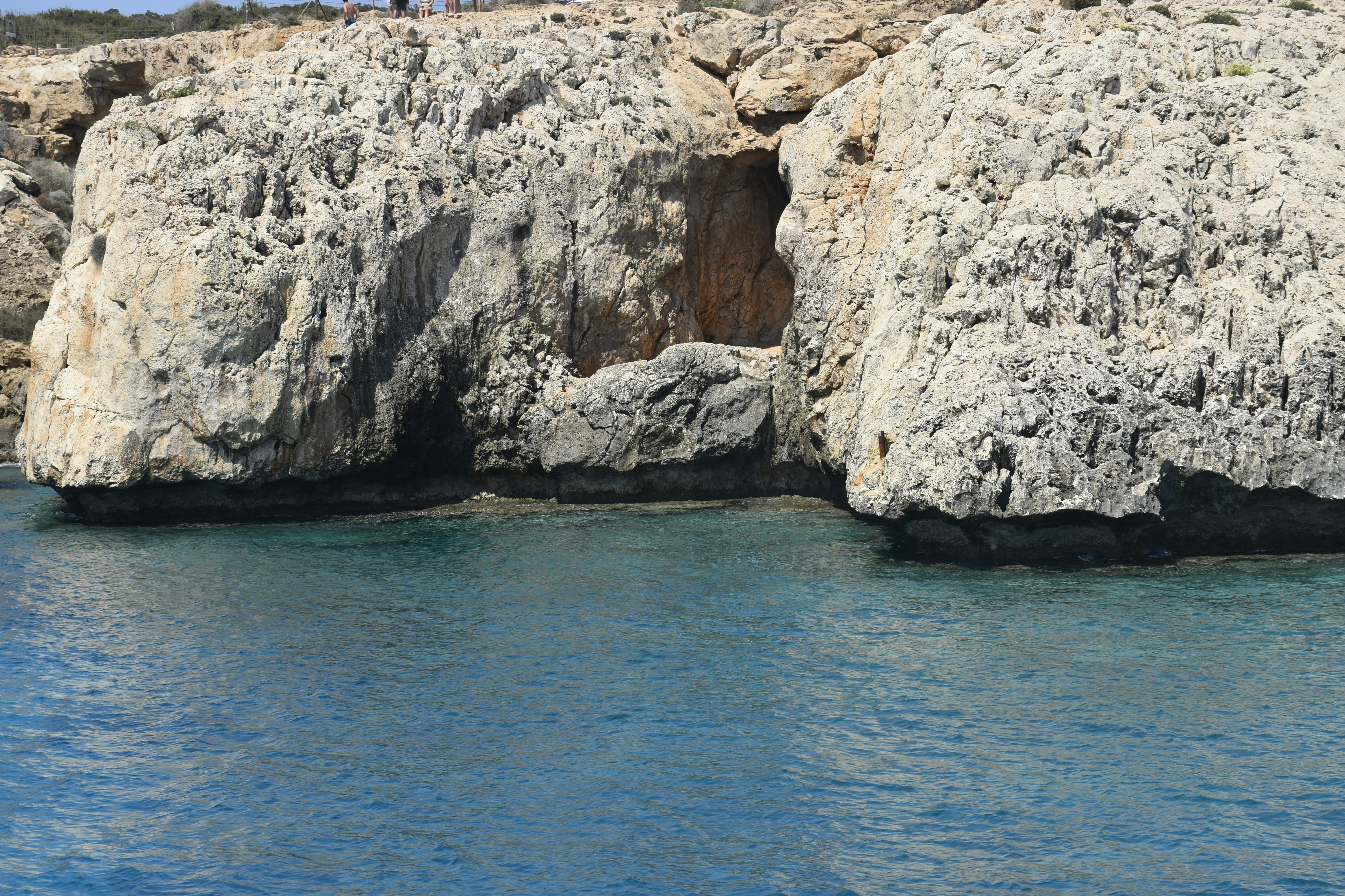 Photo by znphotogarphy