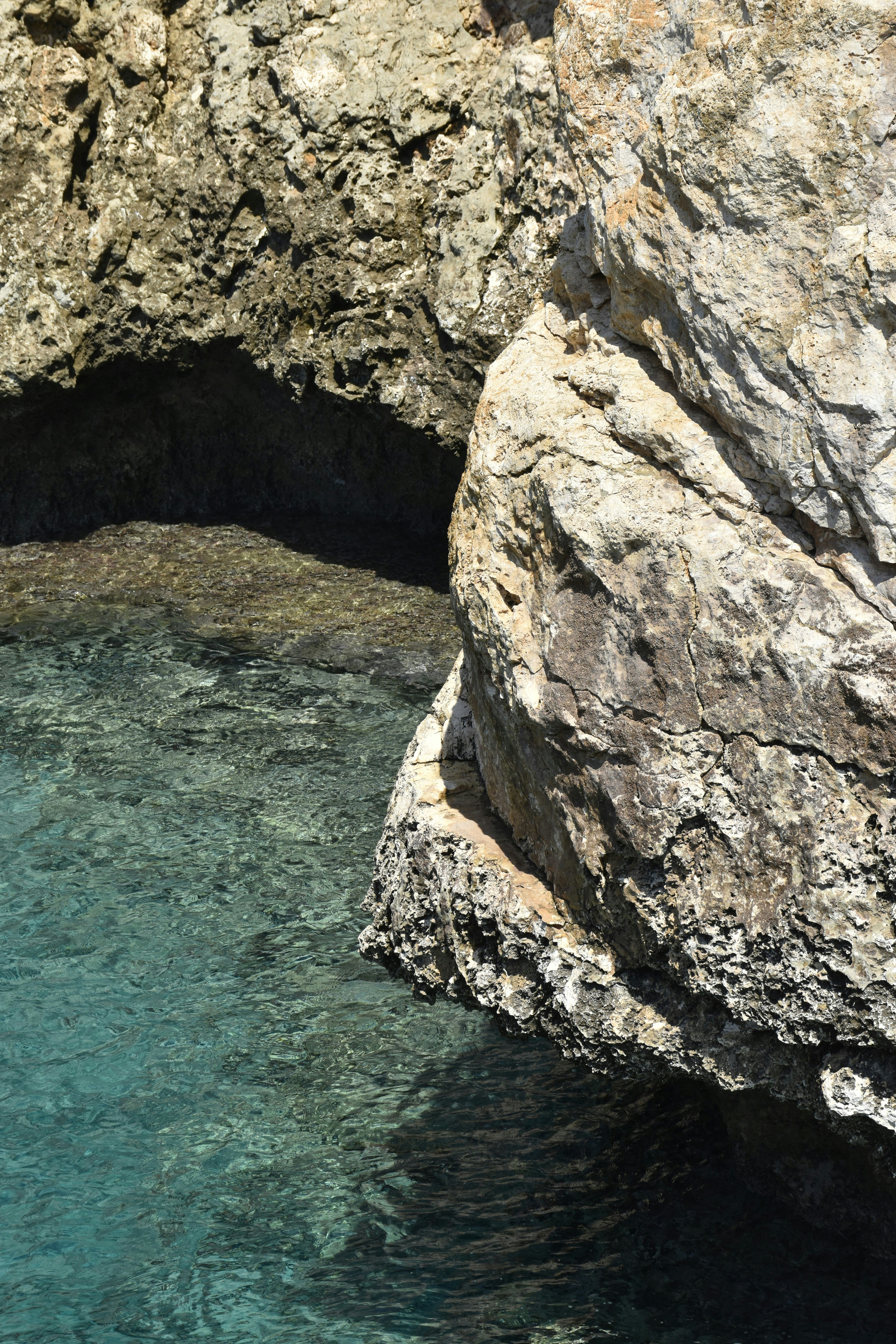 Photo by znphotogarphy