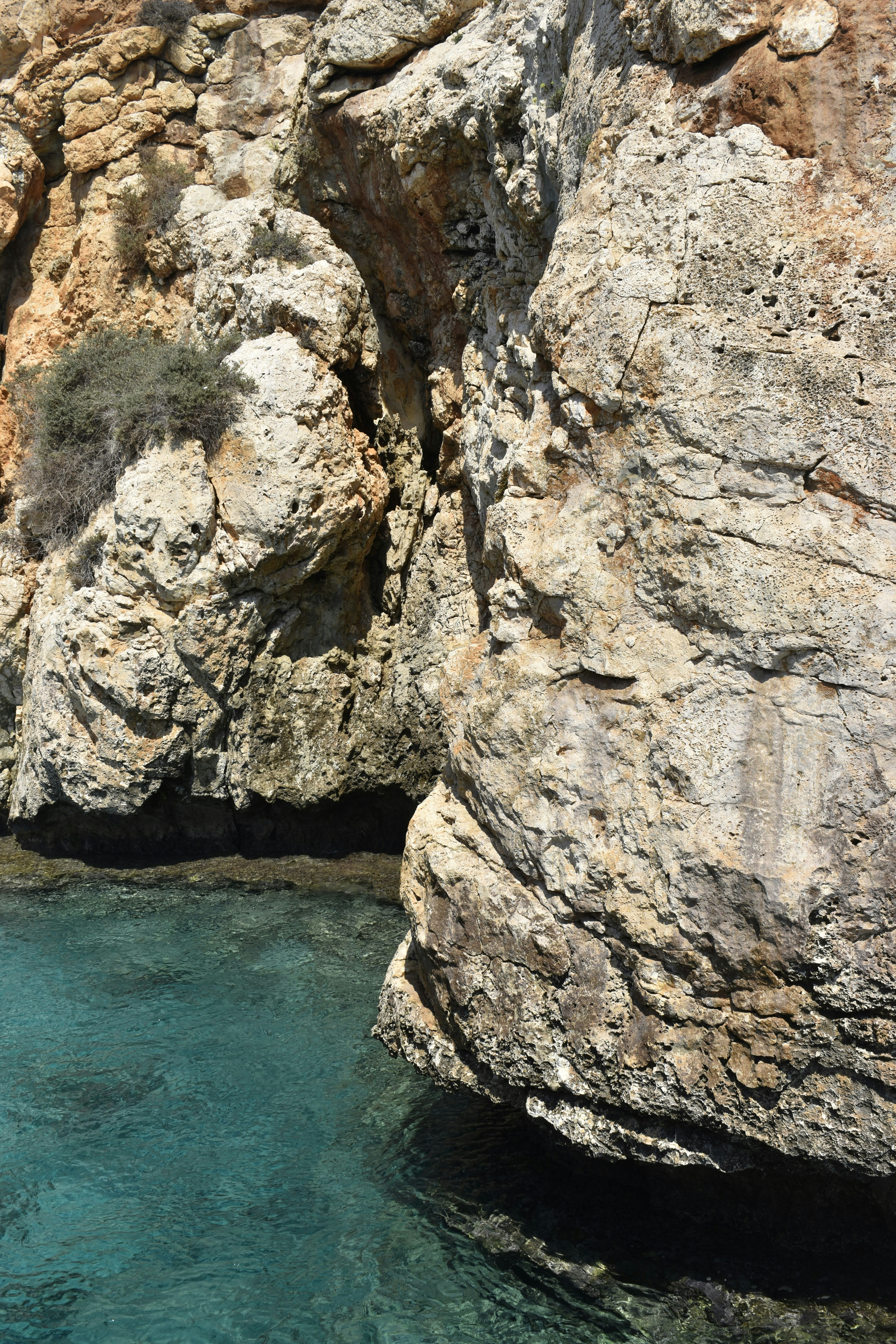 Photo by znphotogarphy