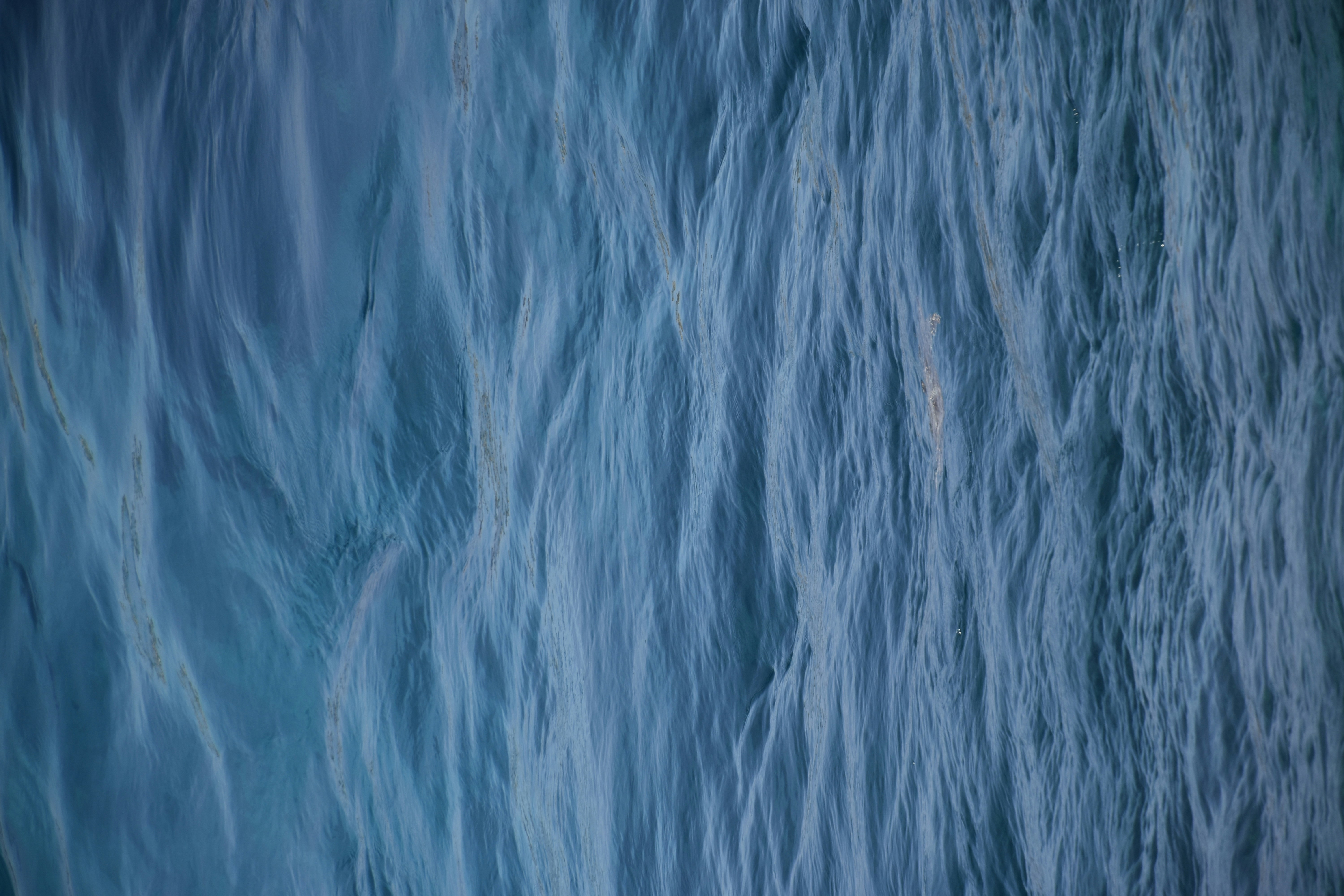 Photo by znphotogarphy