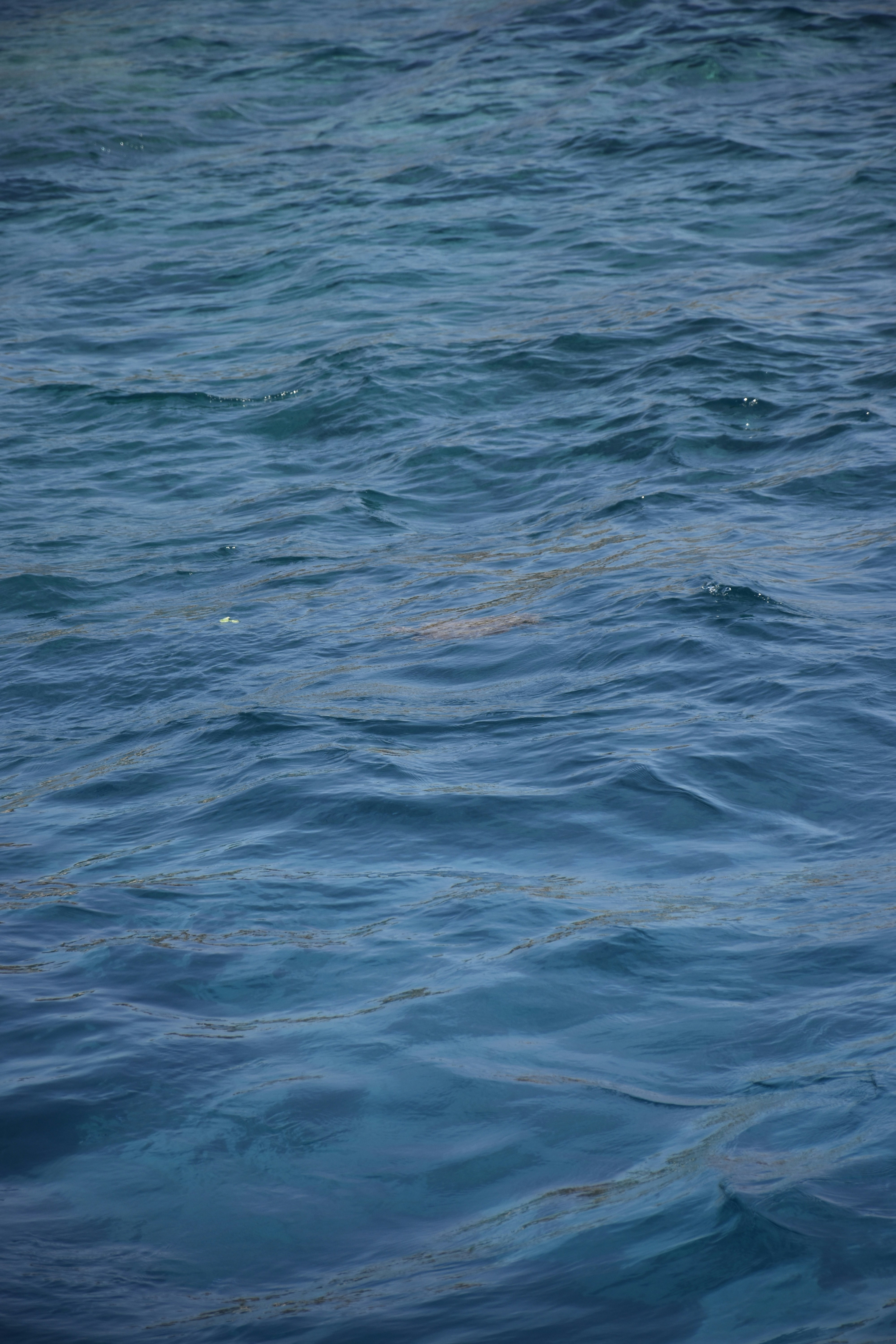 Photo by znphotogarphy