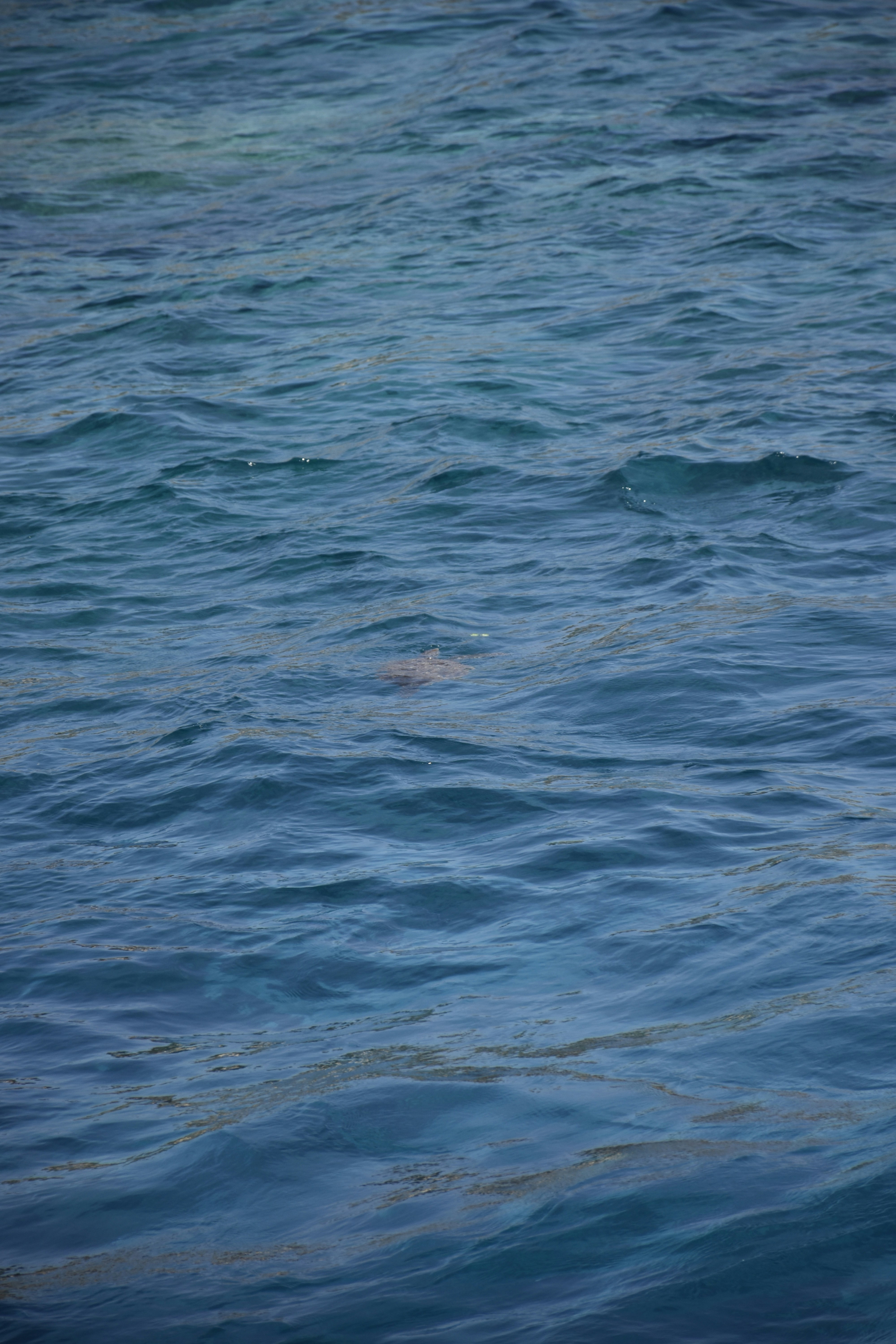 Photo by znphotogarphy