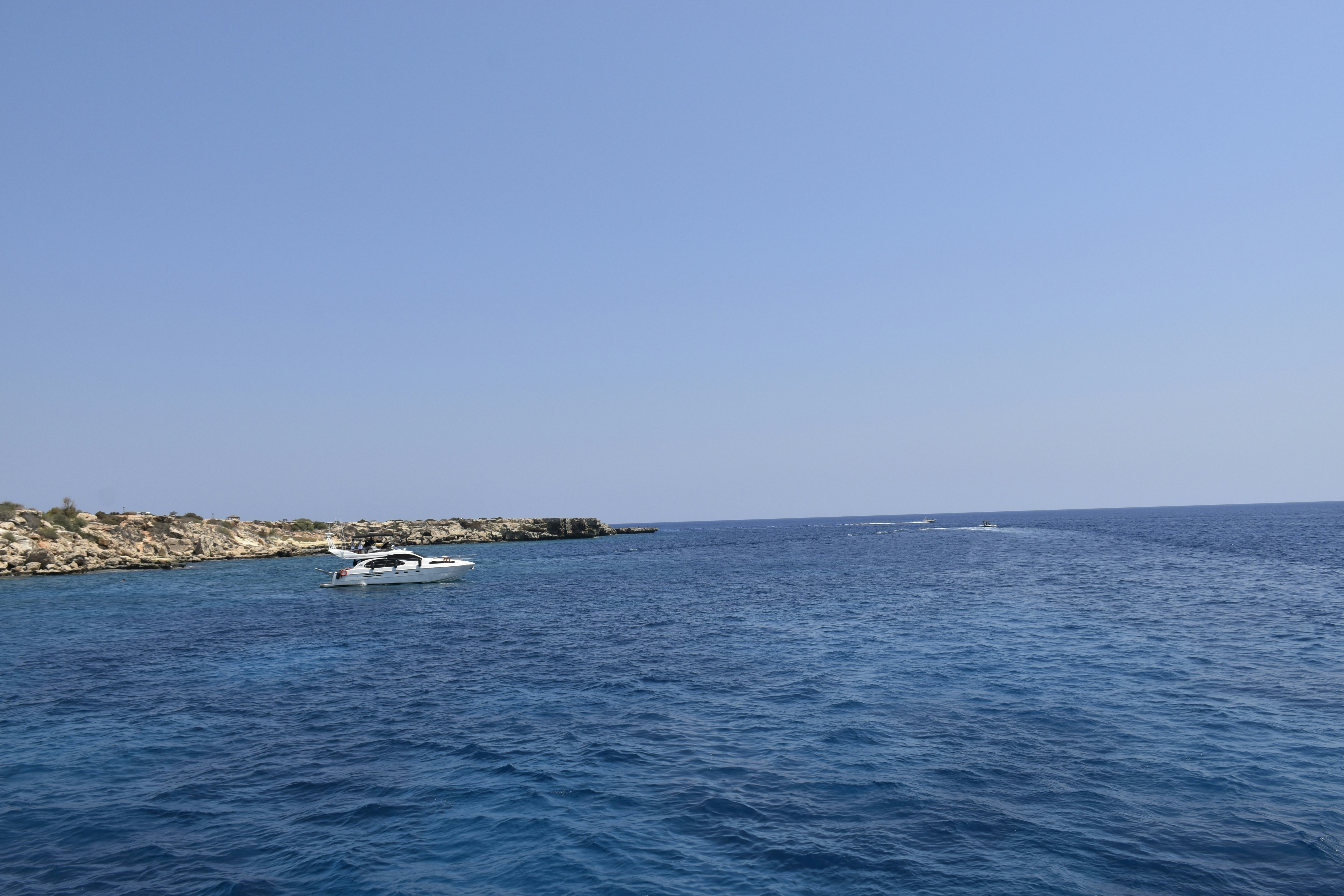 Photo by znphotogarphy