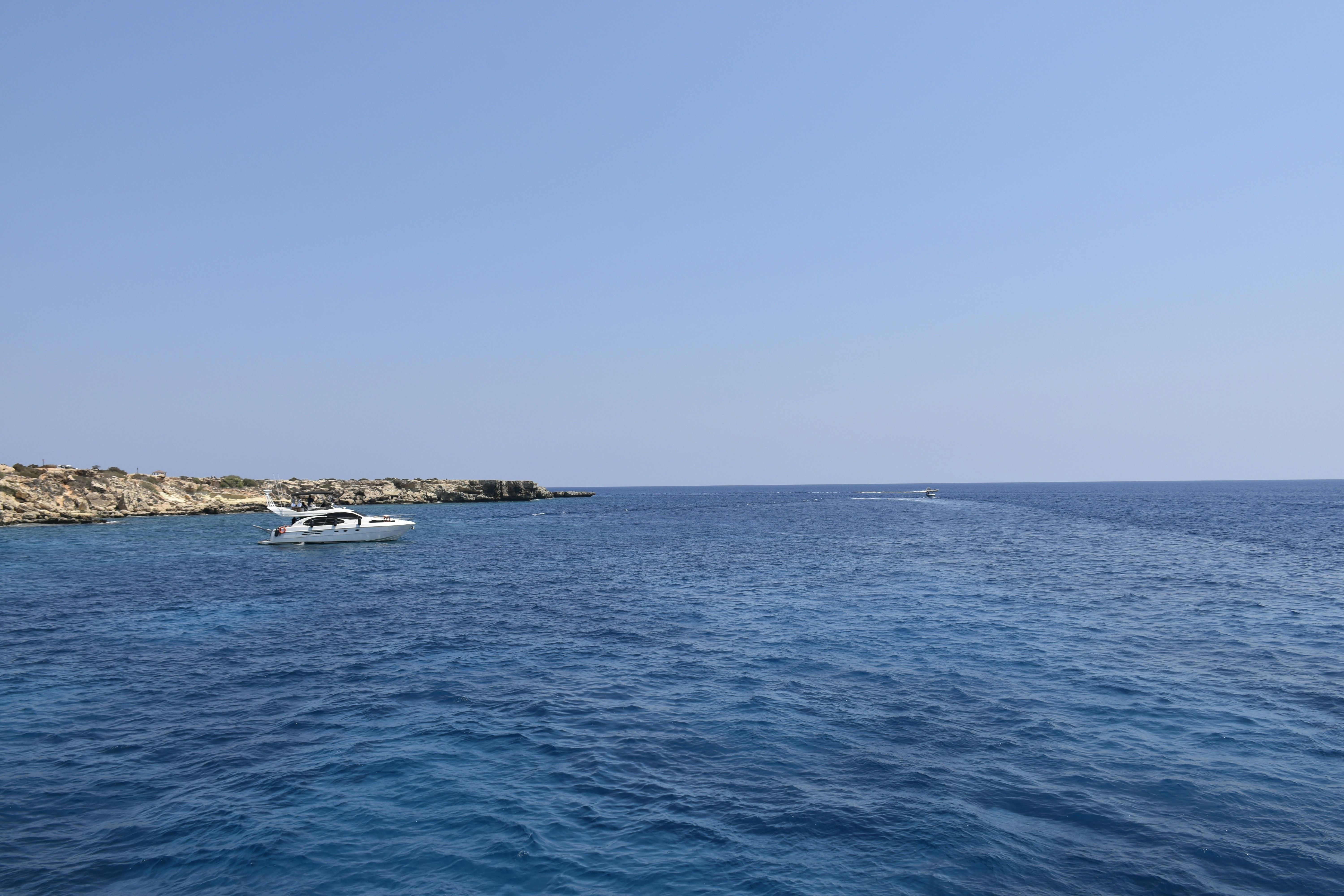 Photo by znphotogarphy