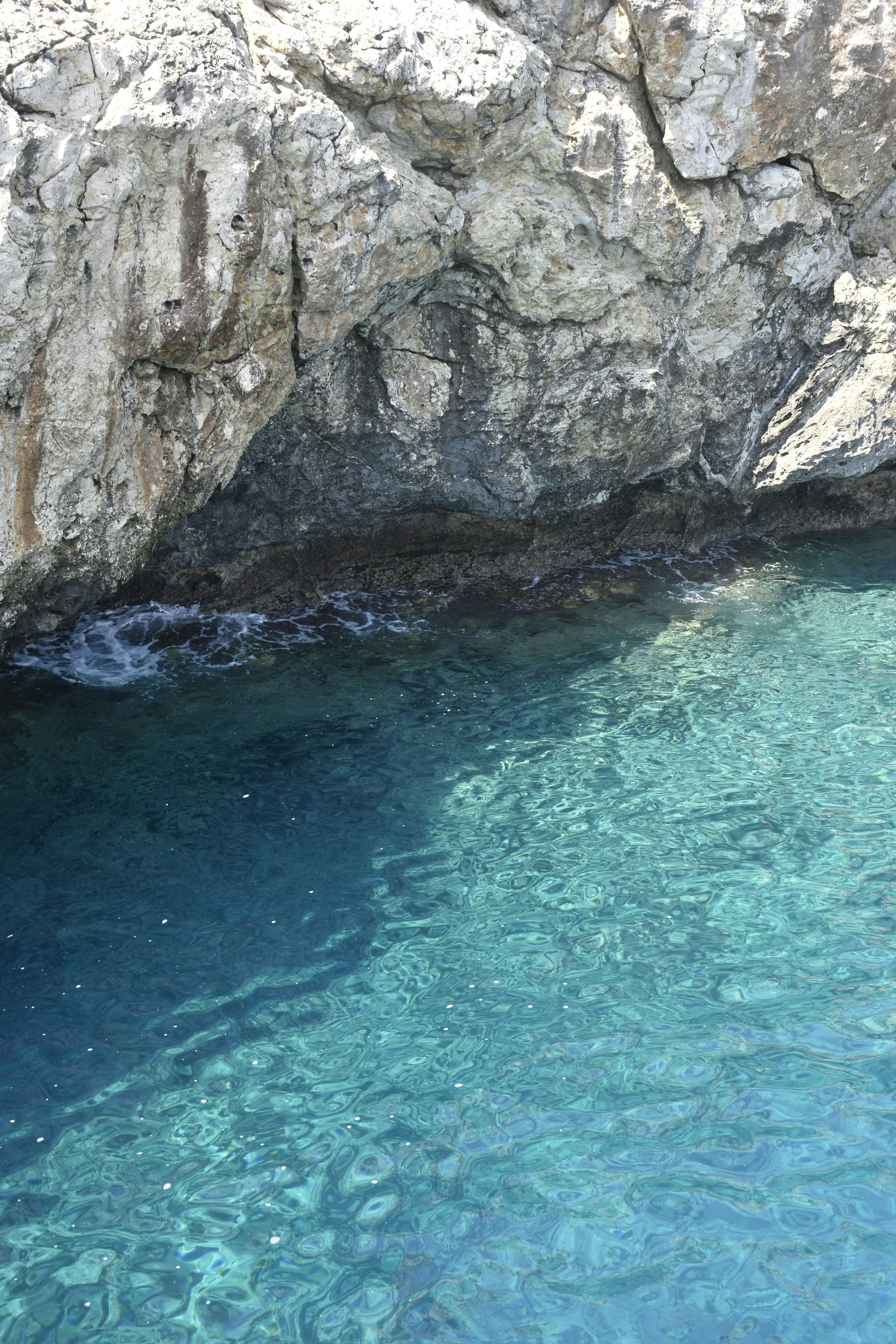 Photo by znphotogarphy