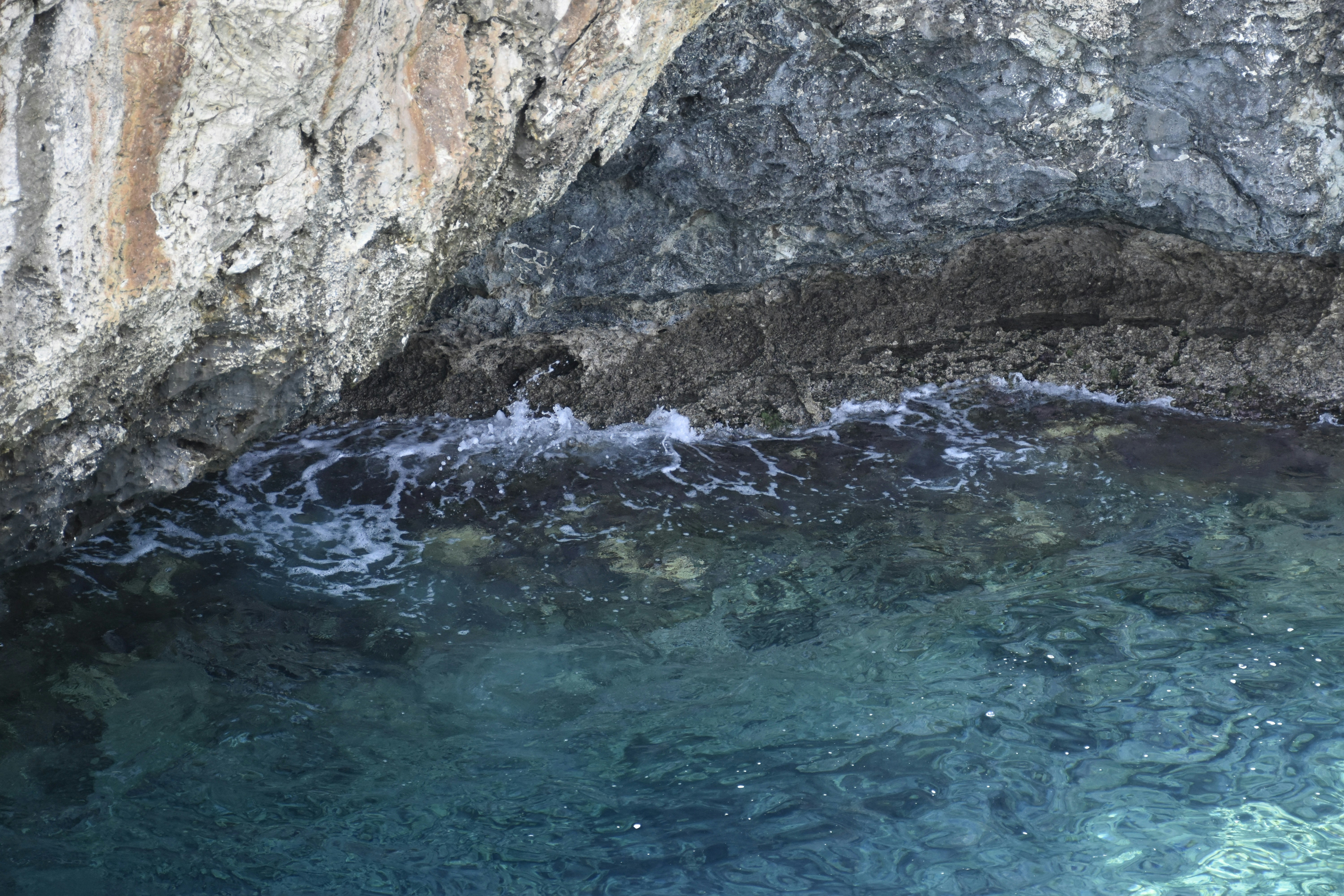 Photo by znphotogarphy