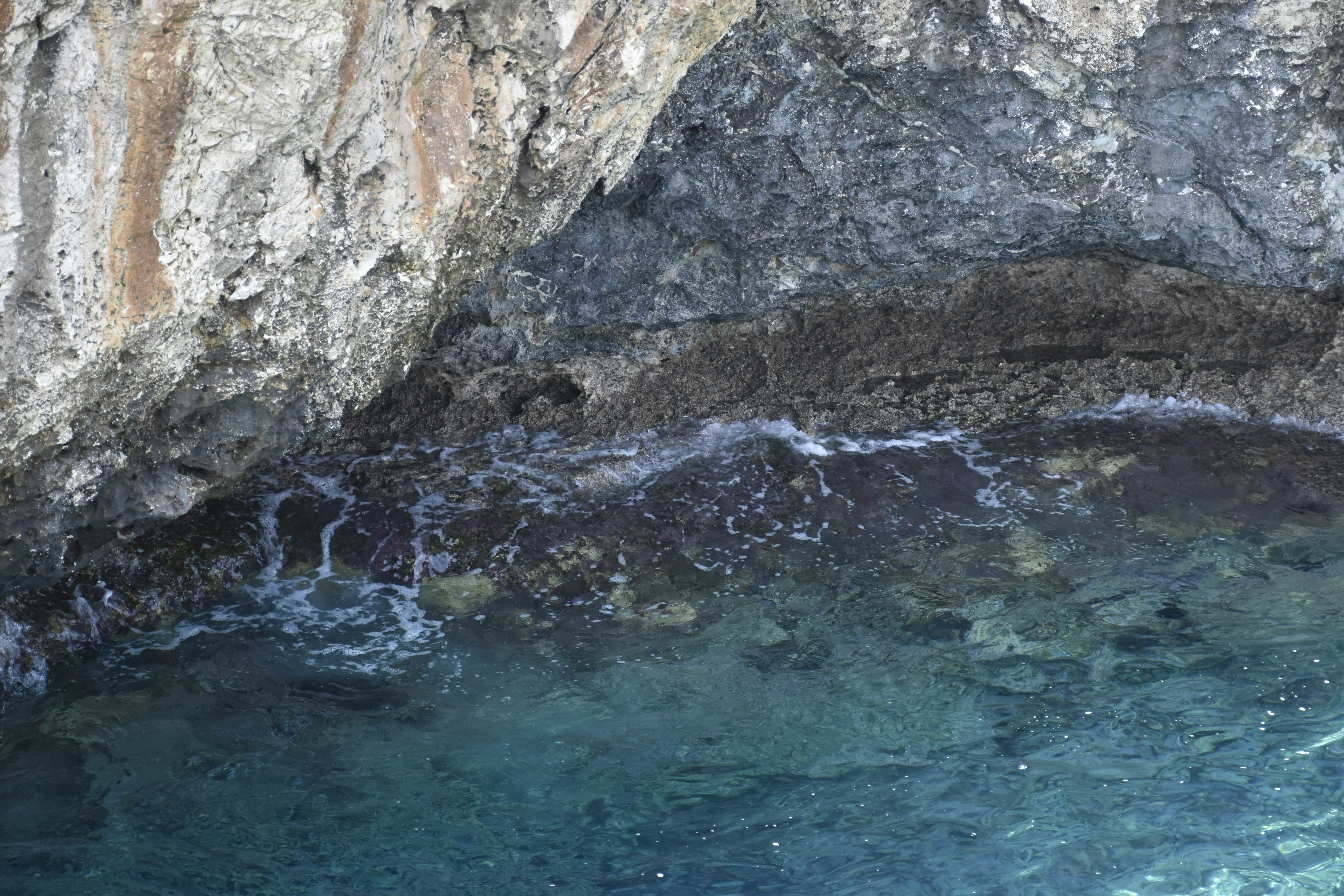 Photo by znphotogarphy