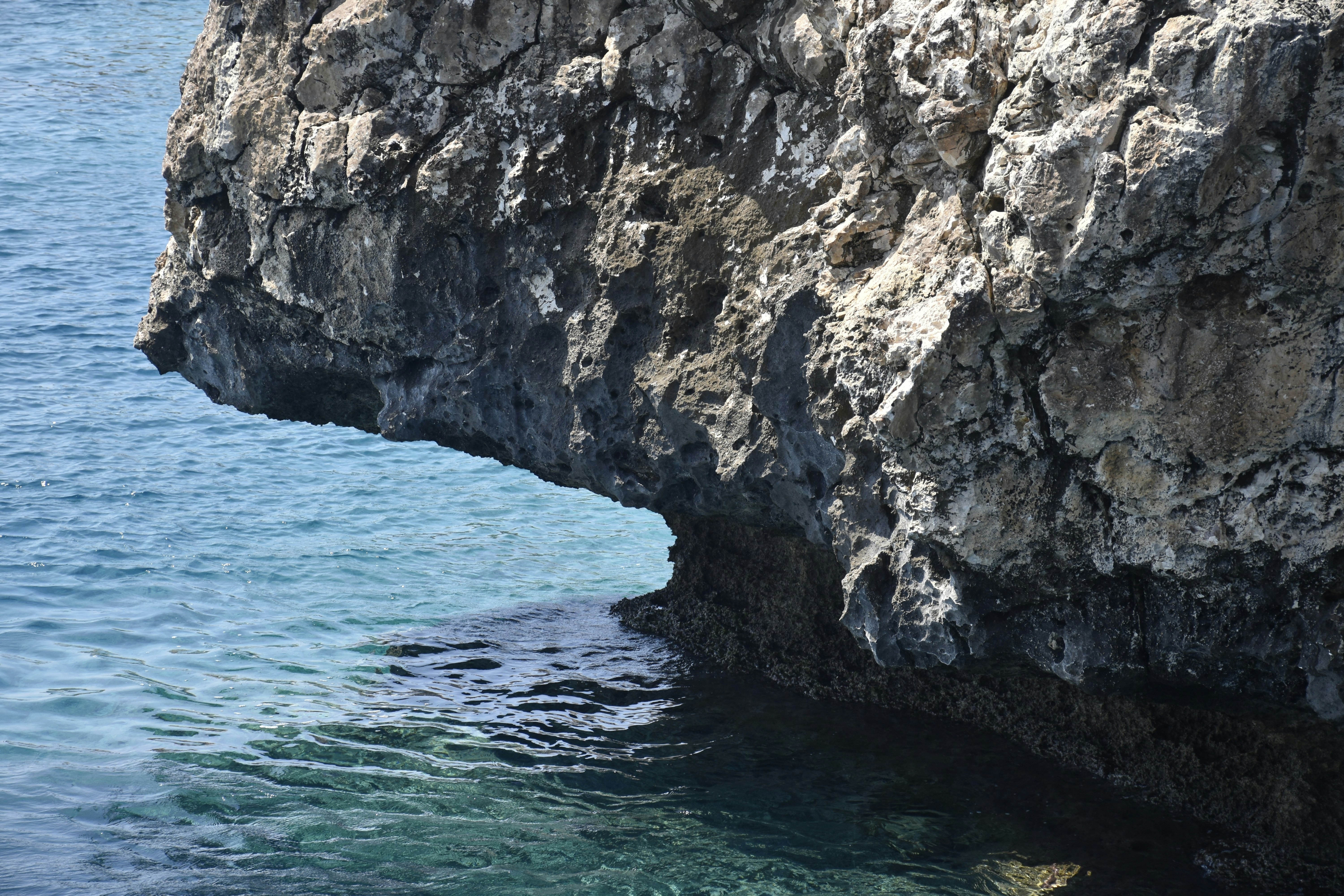 Photo by znphotogarphy