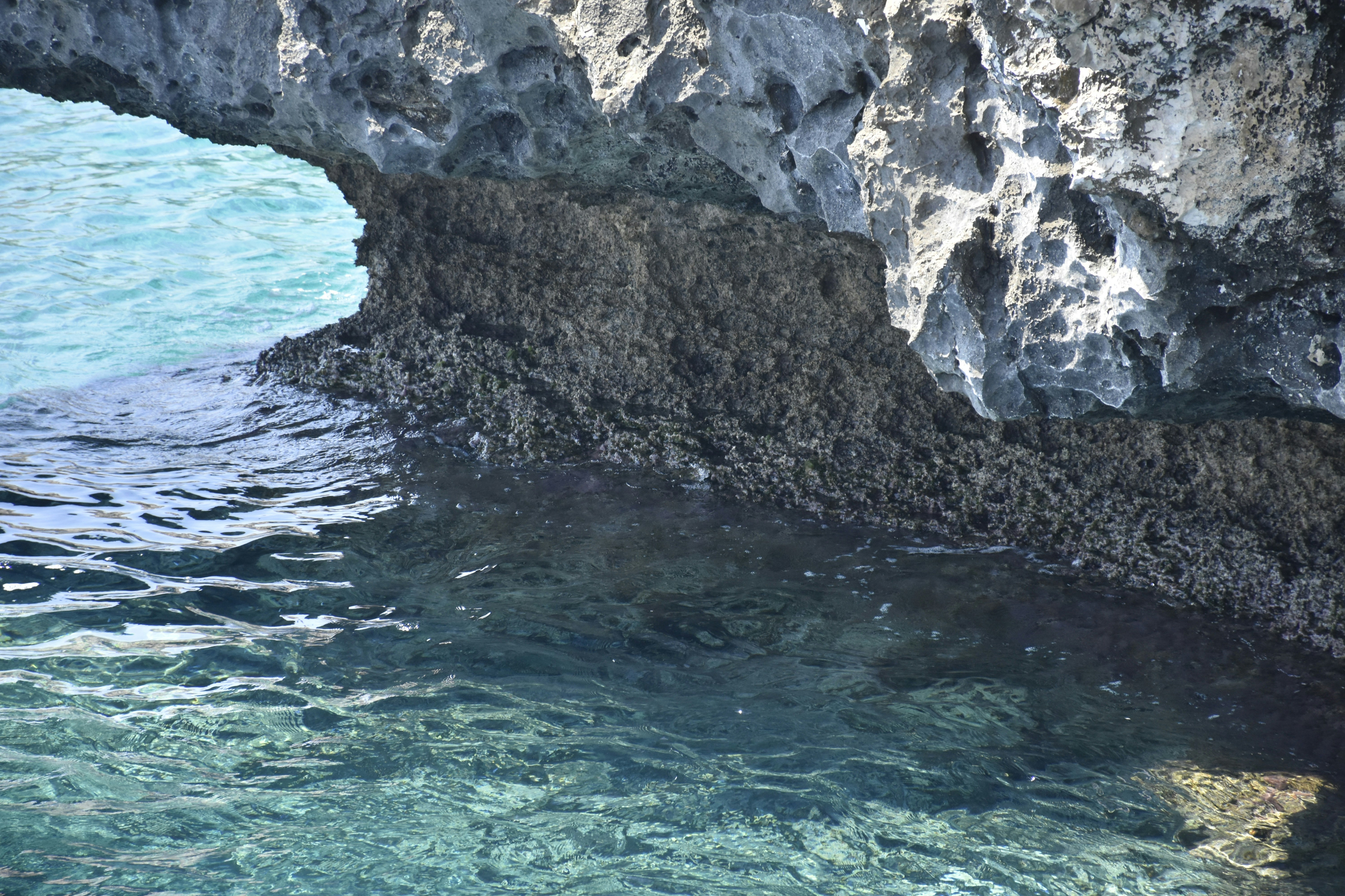 Photo by znphotogarphy