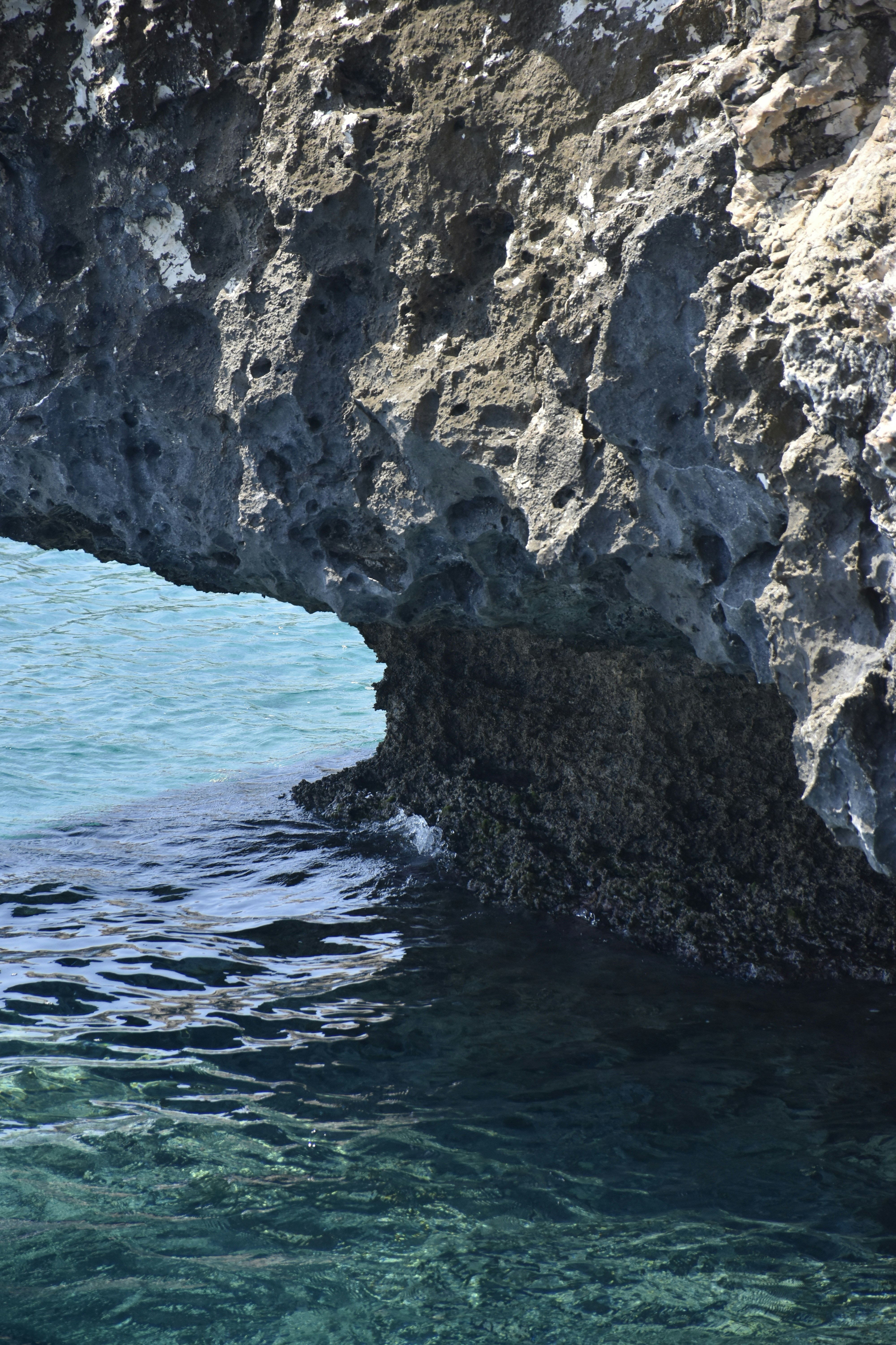 Photo by znphotogarphy