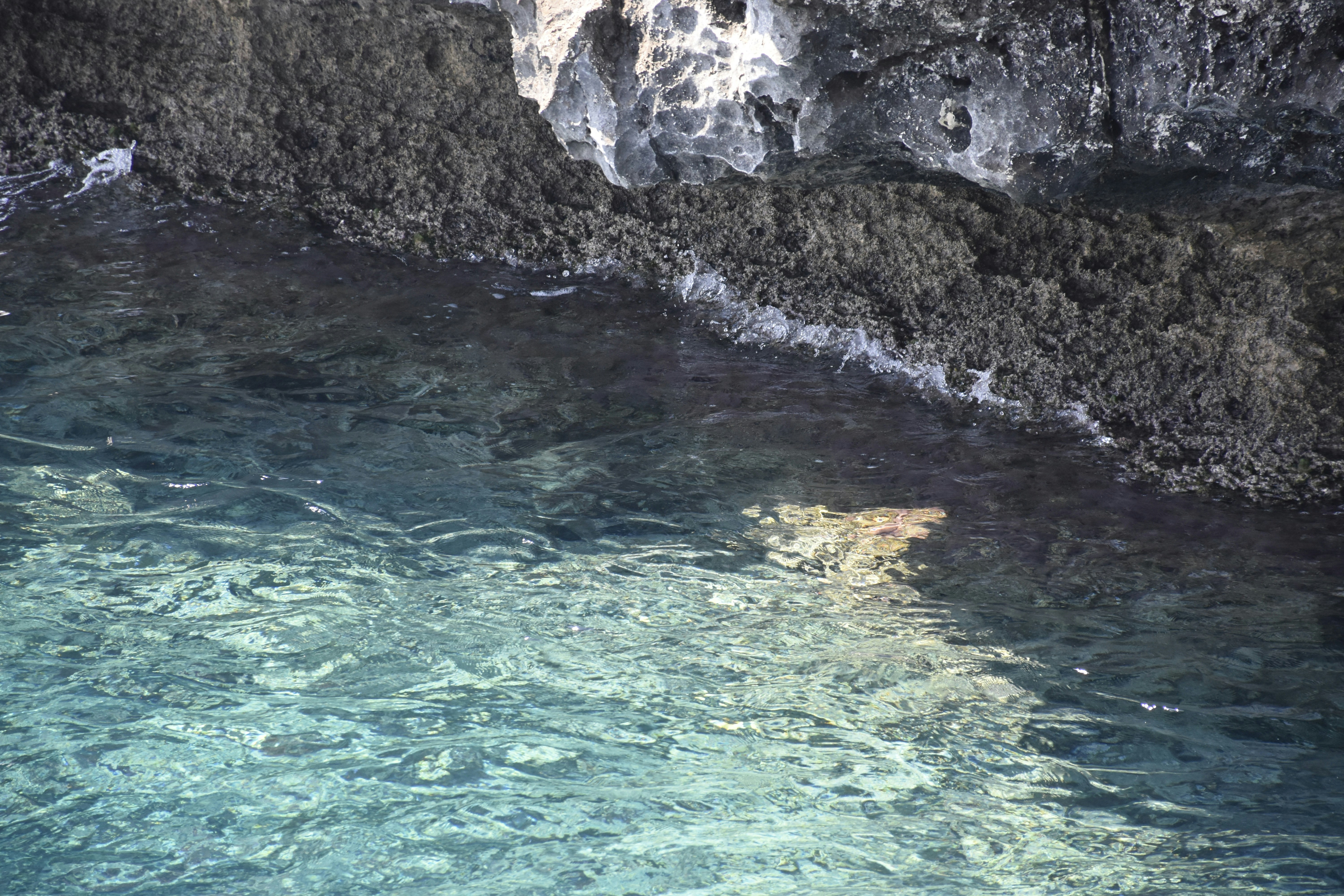 Photo by znphotogarphy