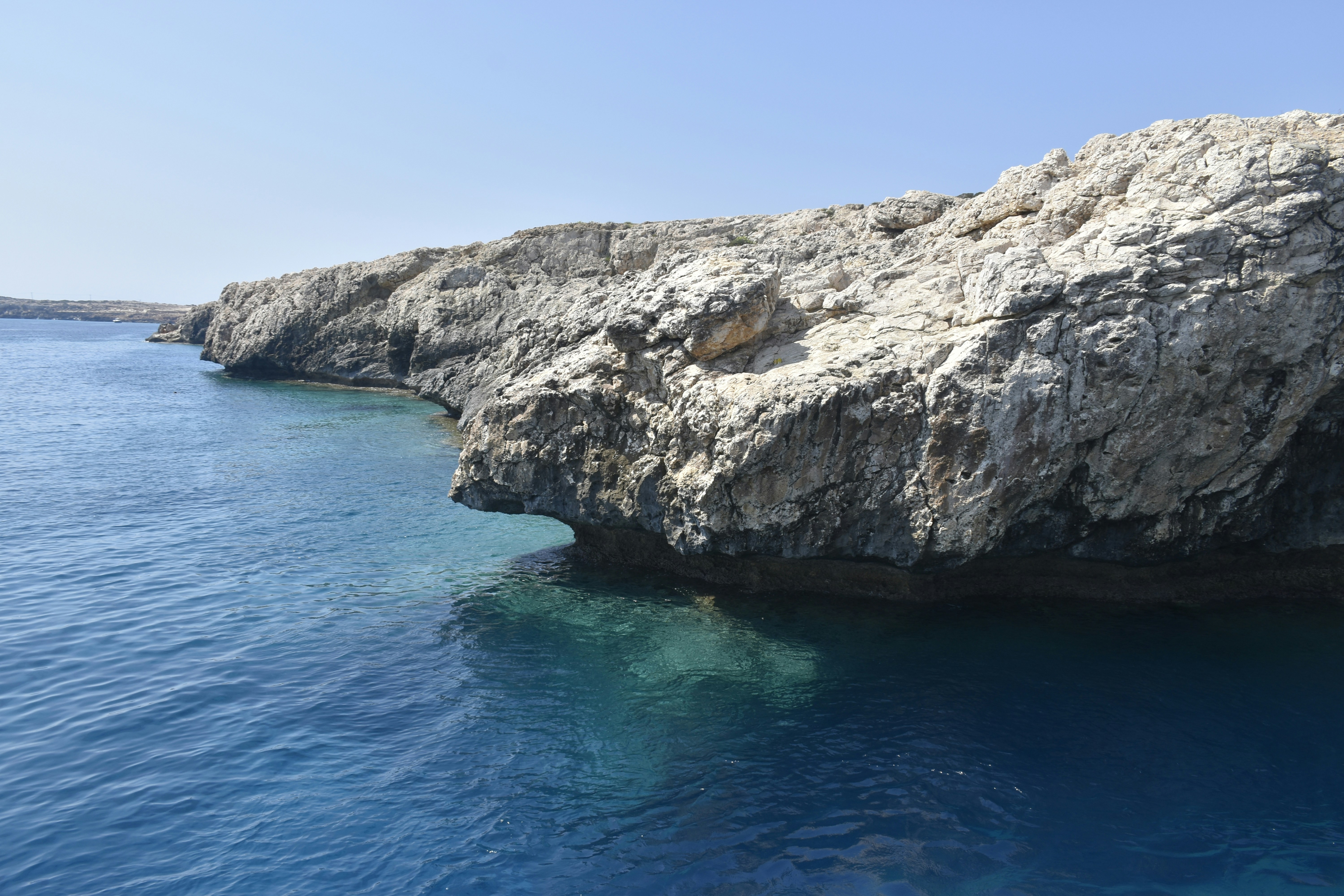 Photo by znphotogarphy