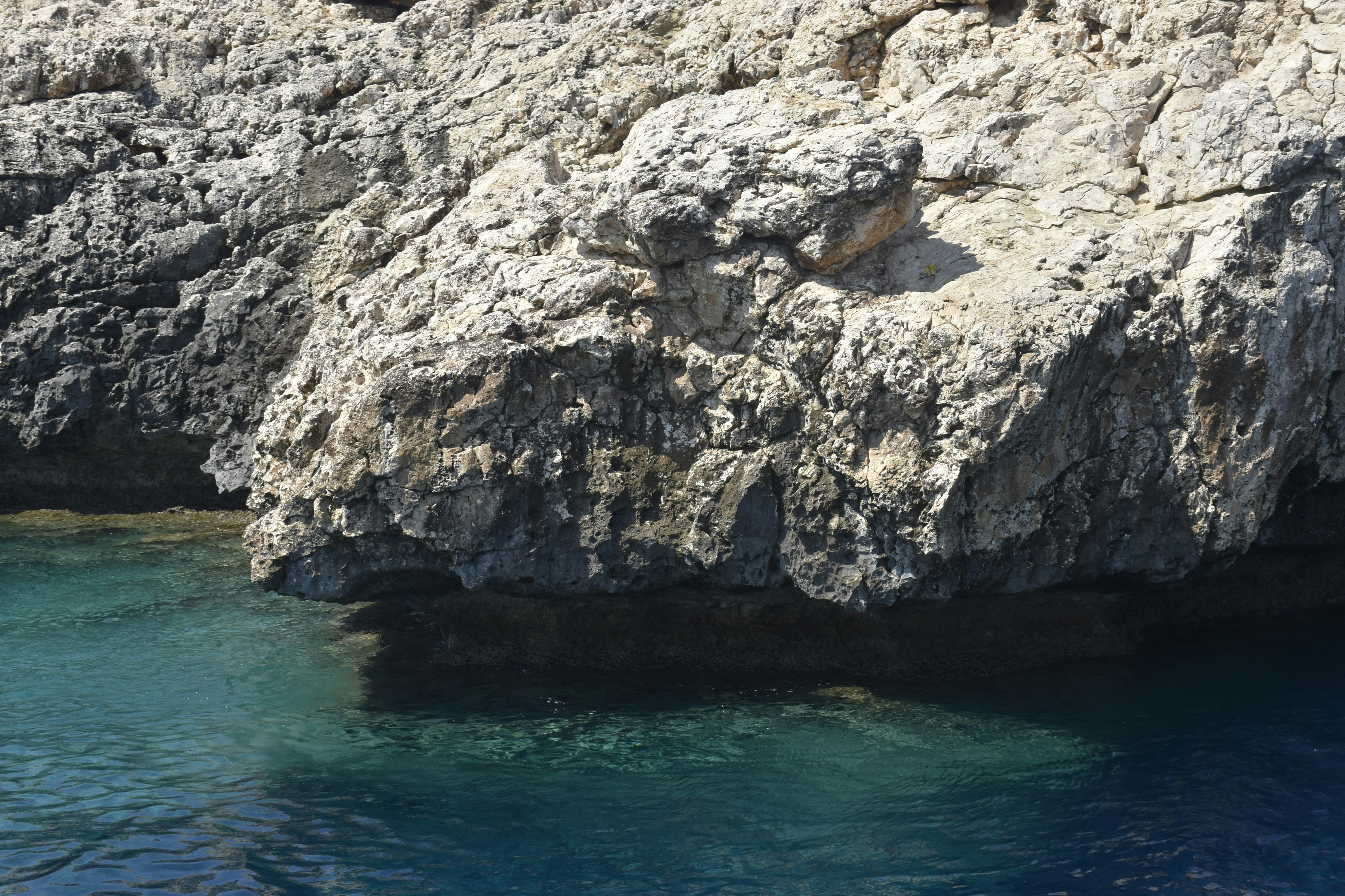 Photo by znphotogarphy