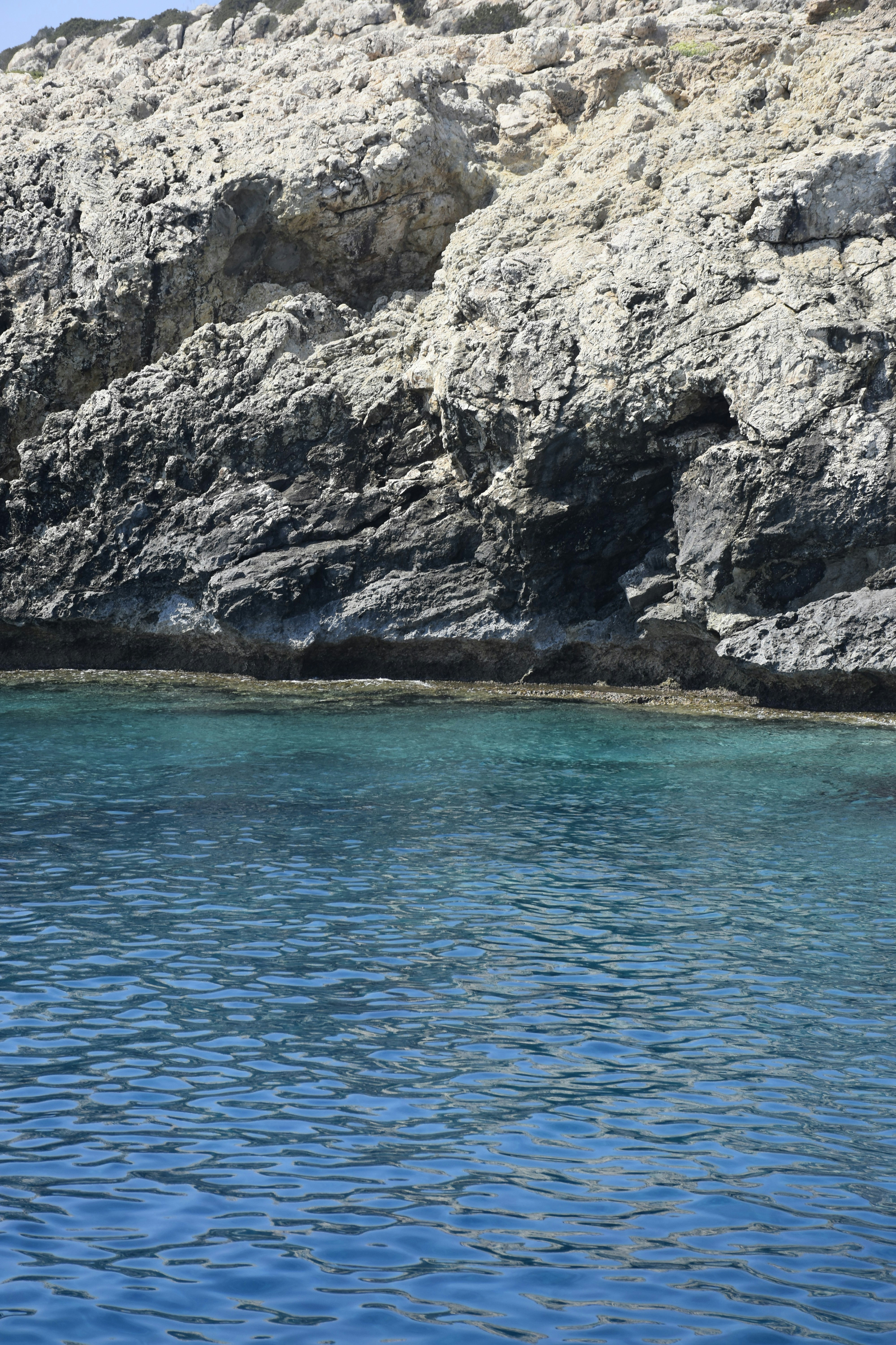 Photo by znphotogarphy