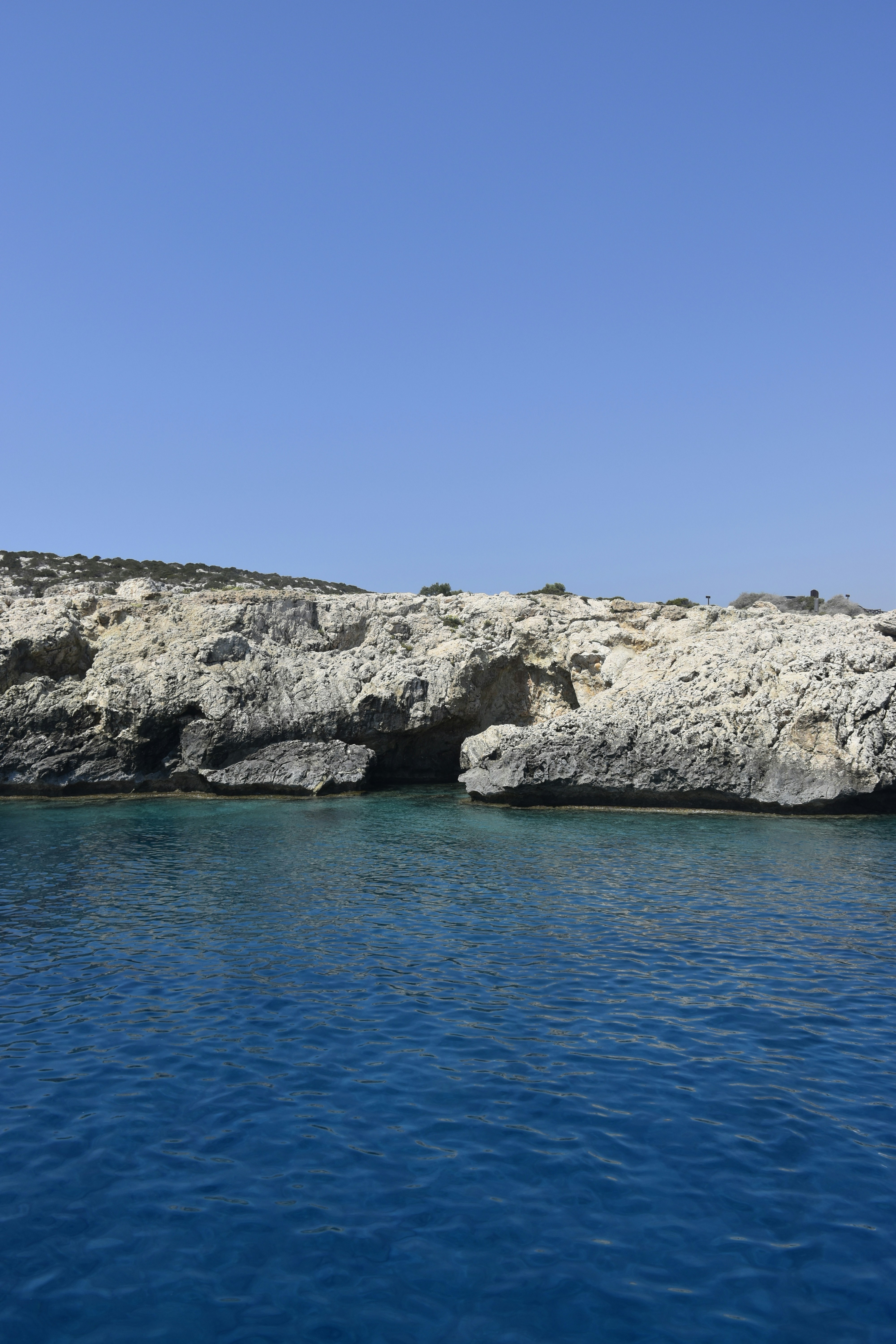 Photo by znphotogarphy