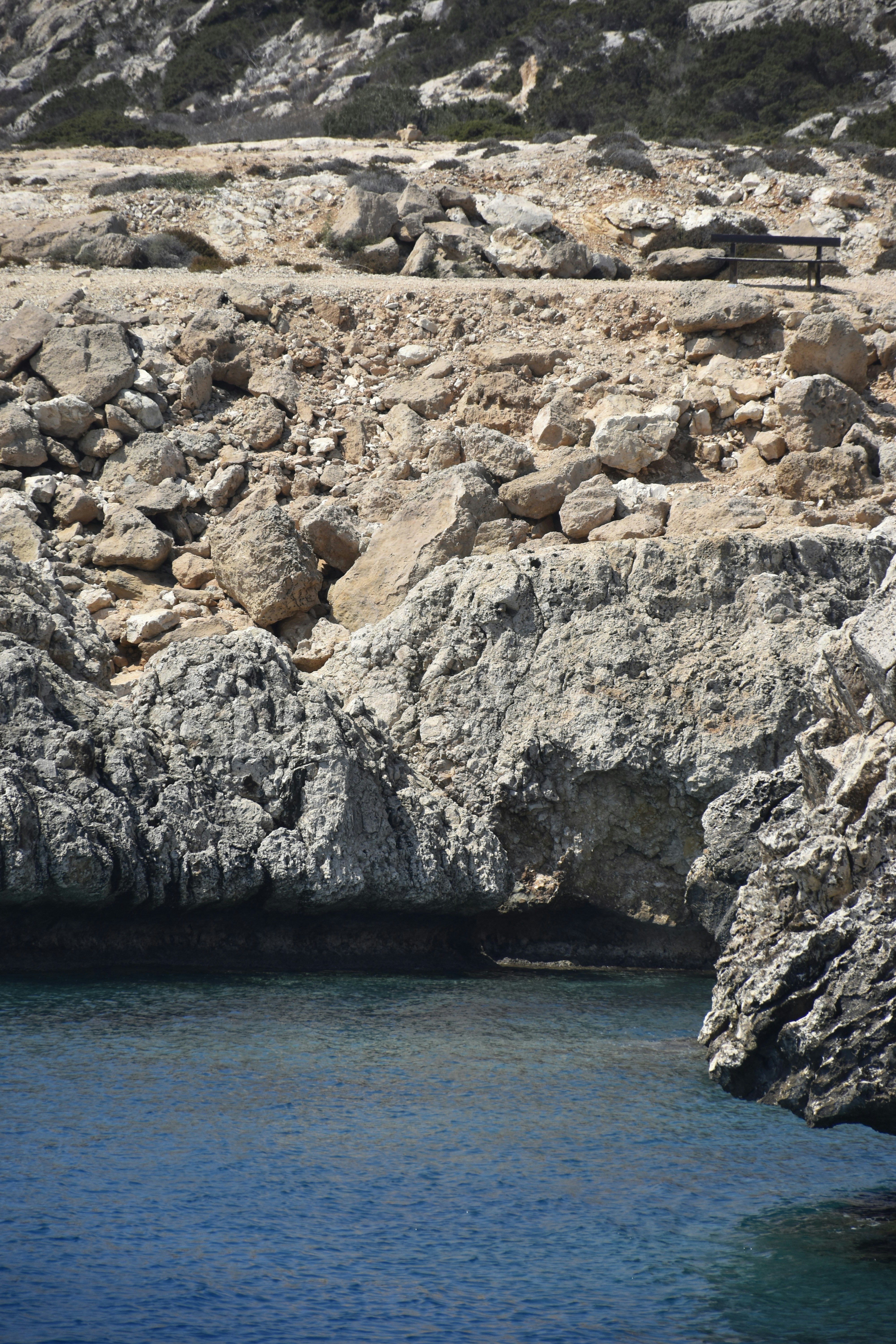 Photo by znphotogarphy