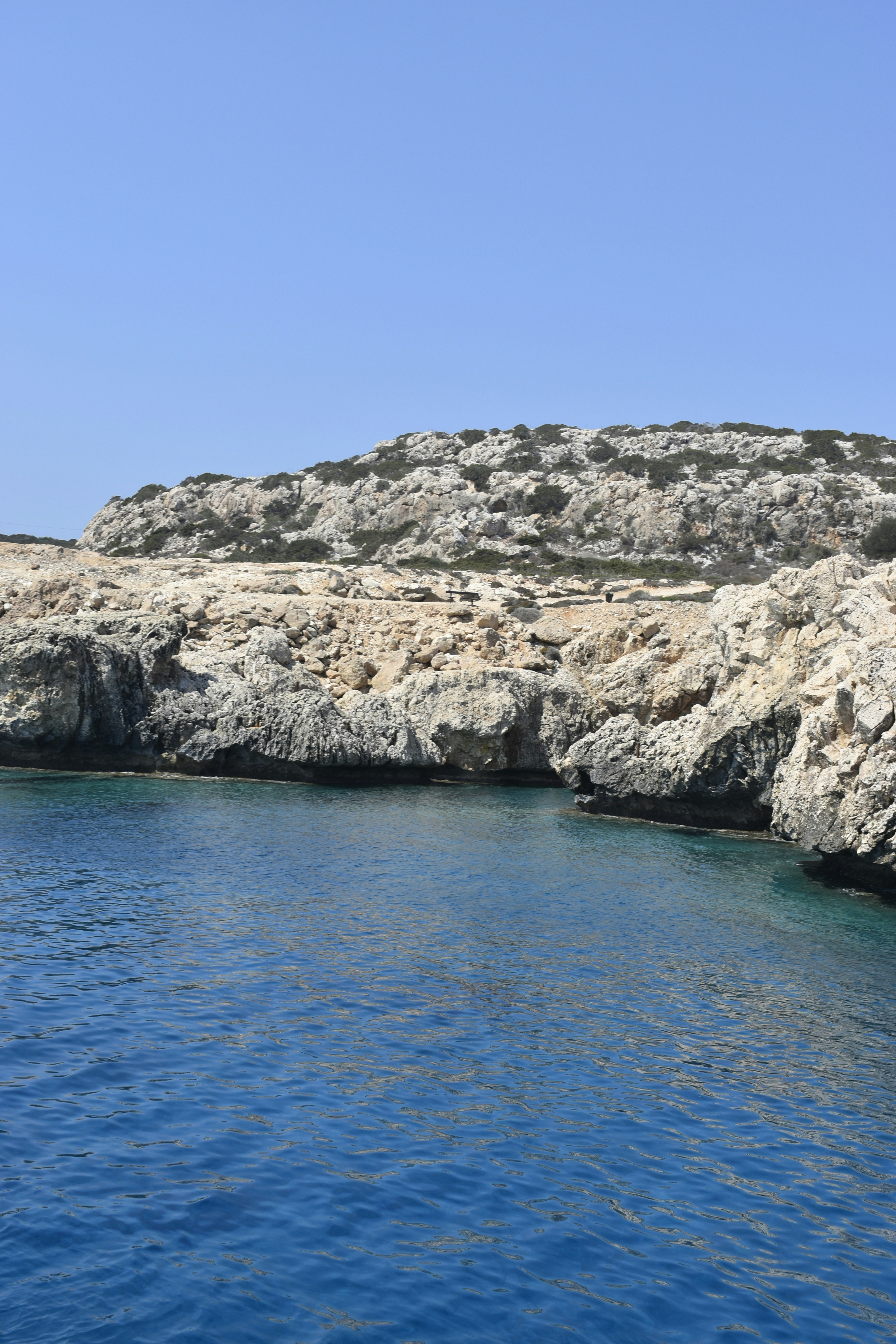 Photo by znphotogarphy