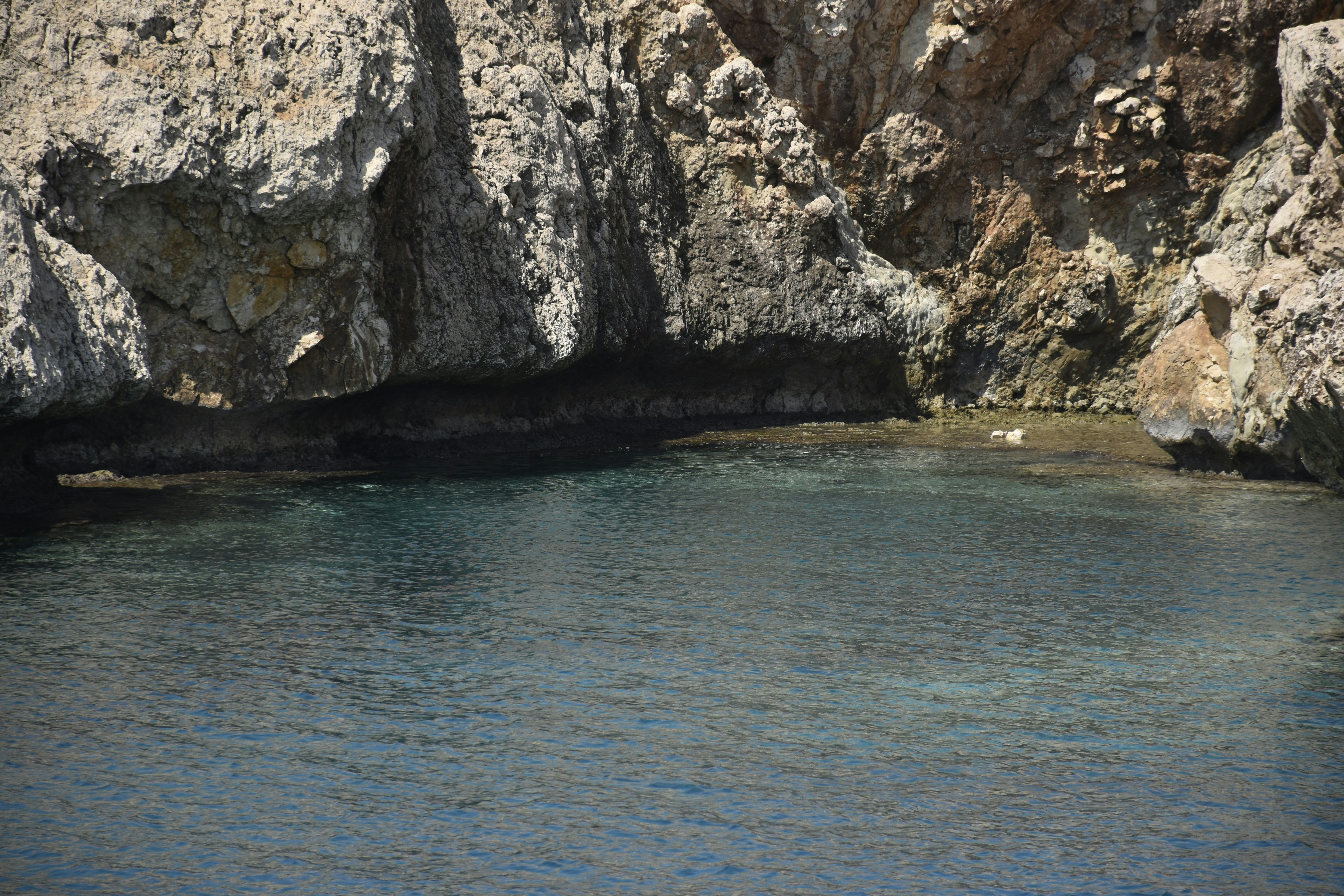 Photo by znphotogarphy