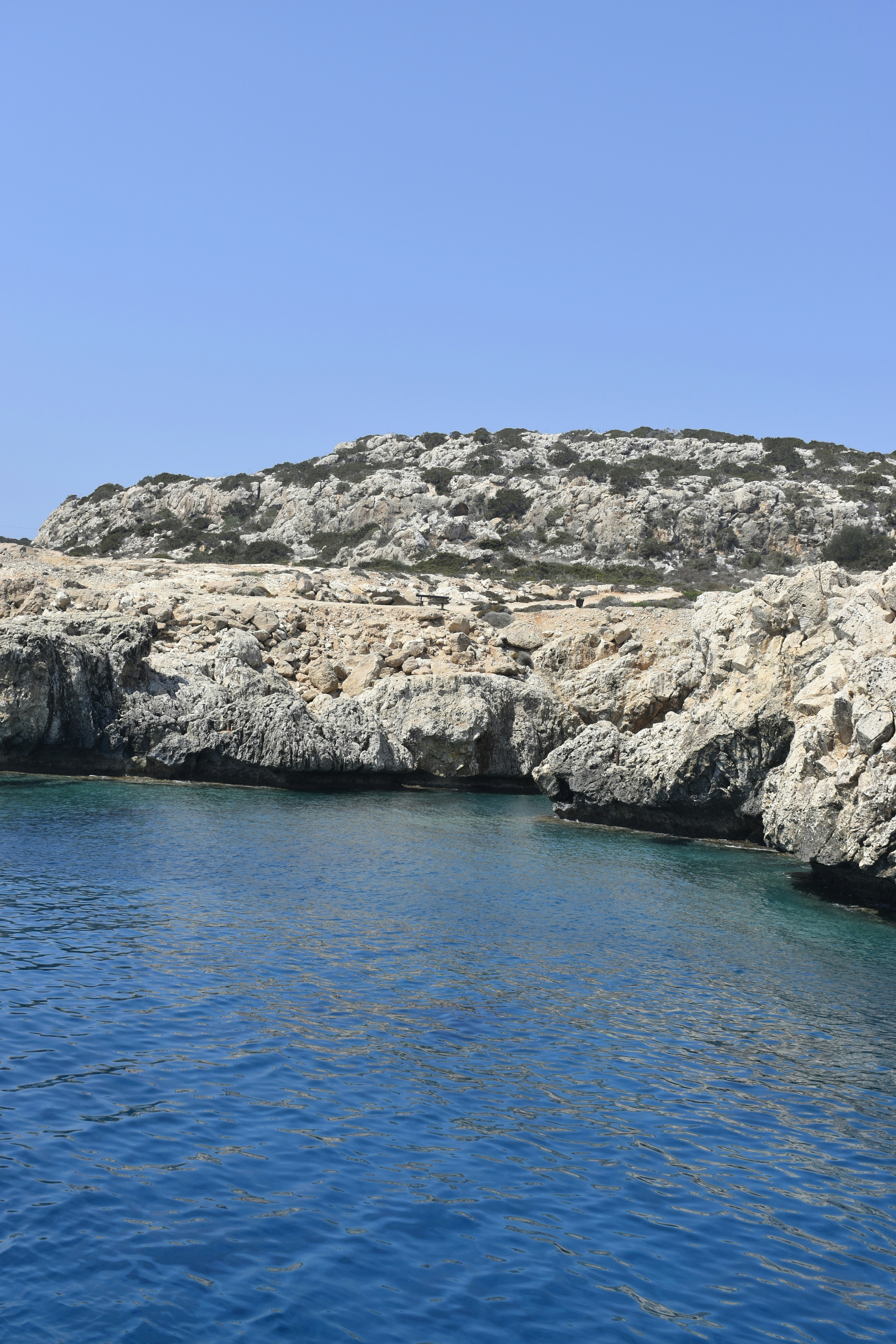 Photo by znphotogarphy