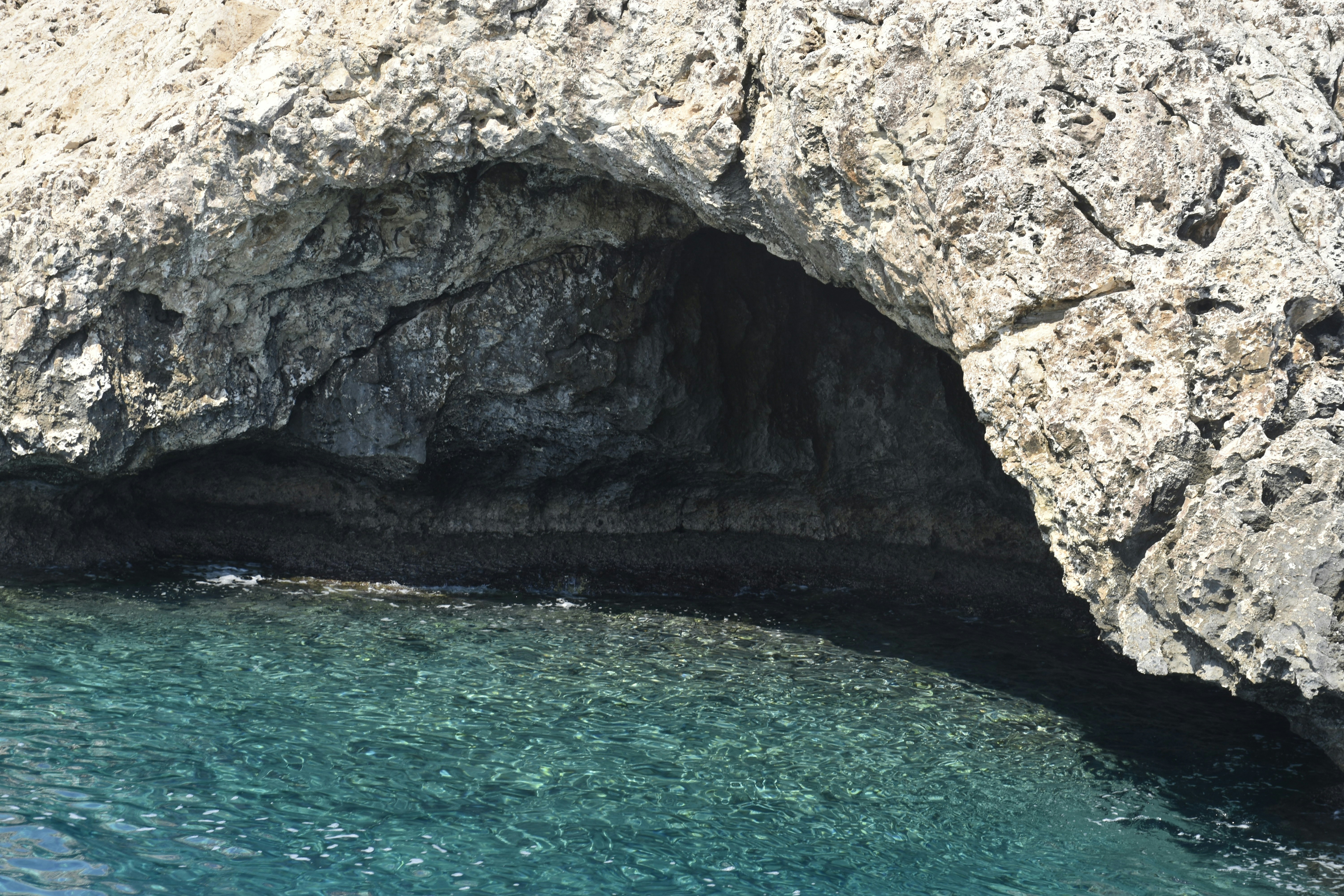 Photo by znphotogarphy