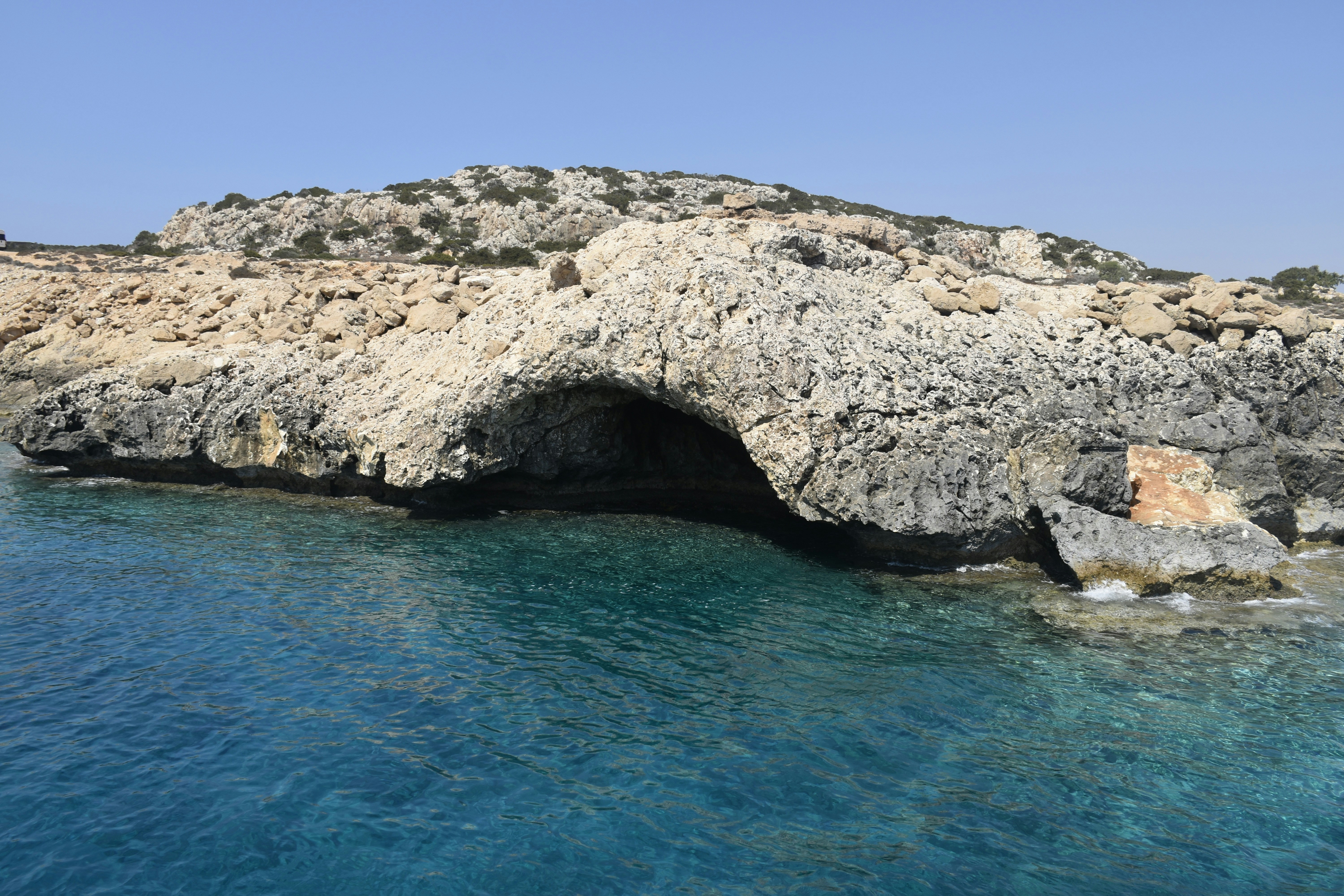 Photo by znphotogarphy