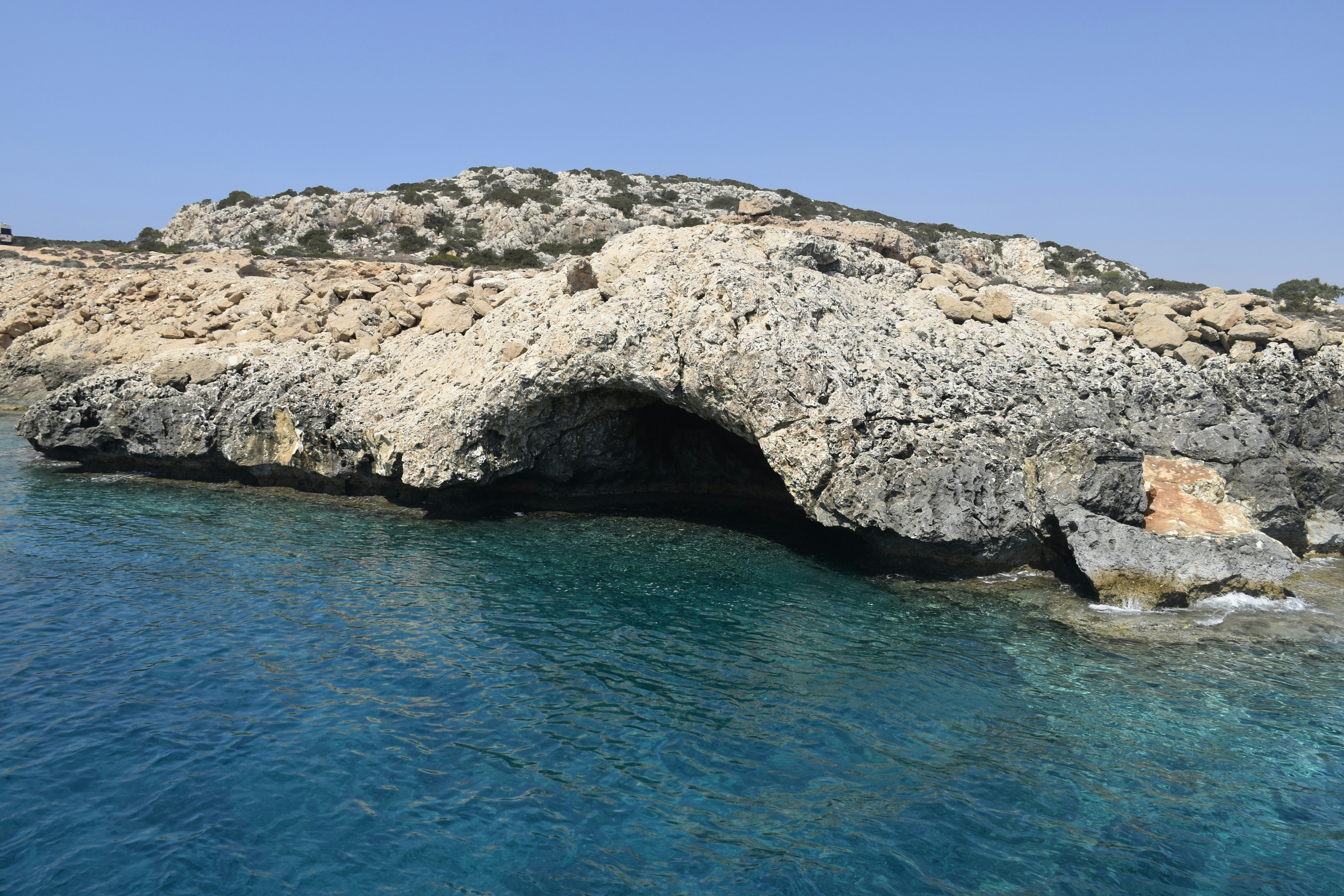 Photo by znphotogarphy