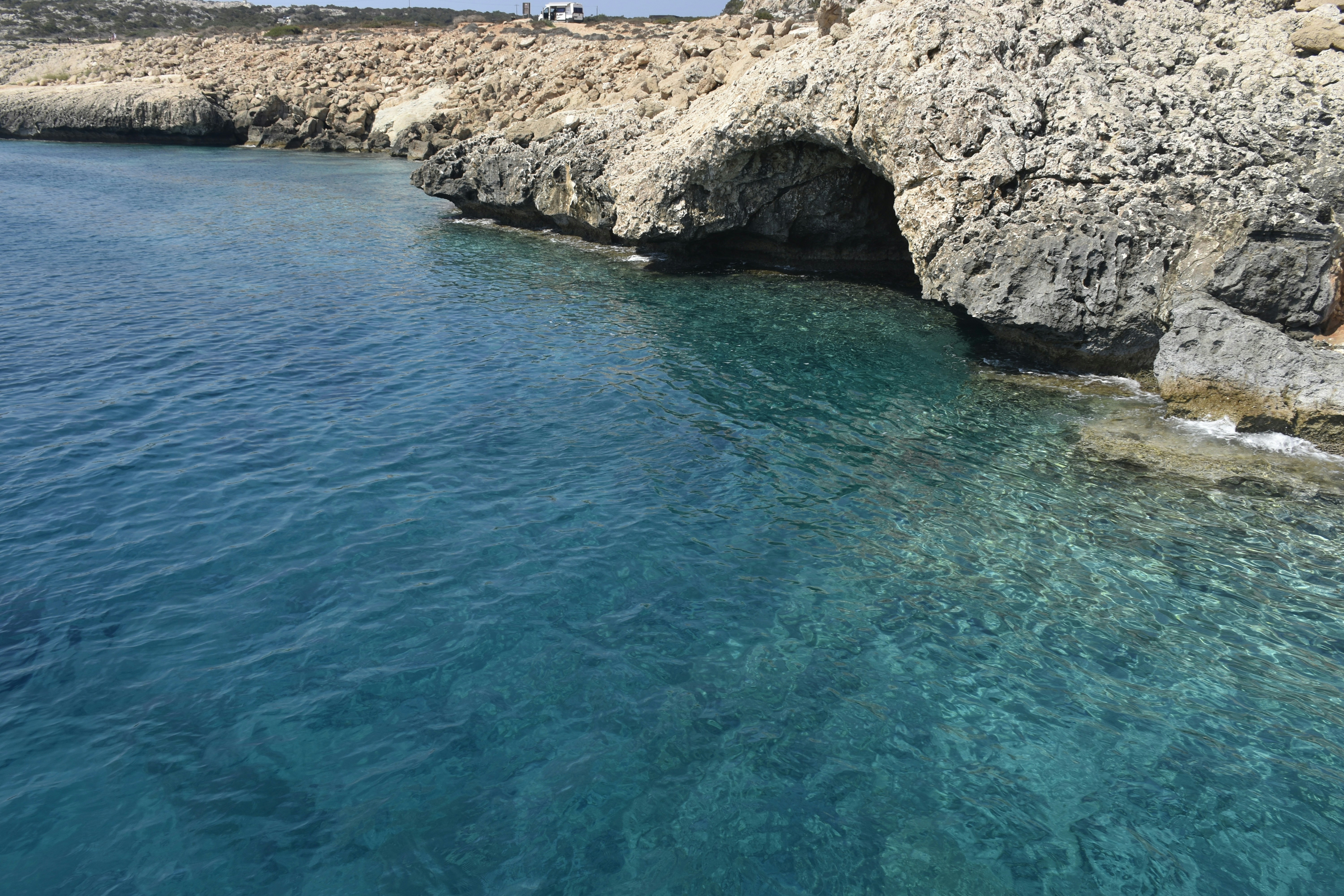 Photo by znphotogarphy