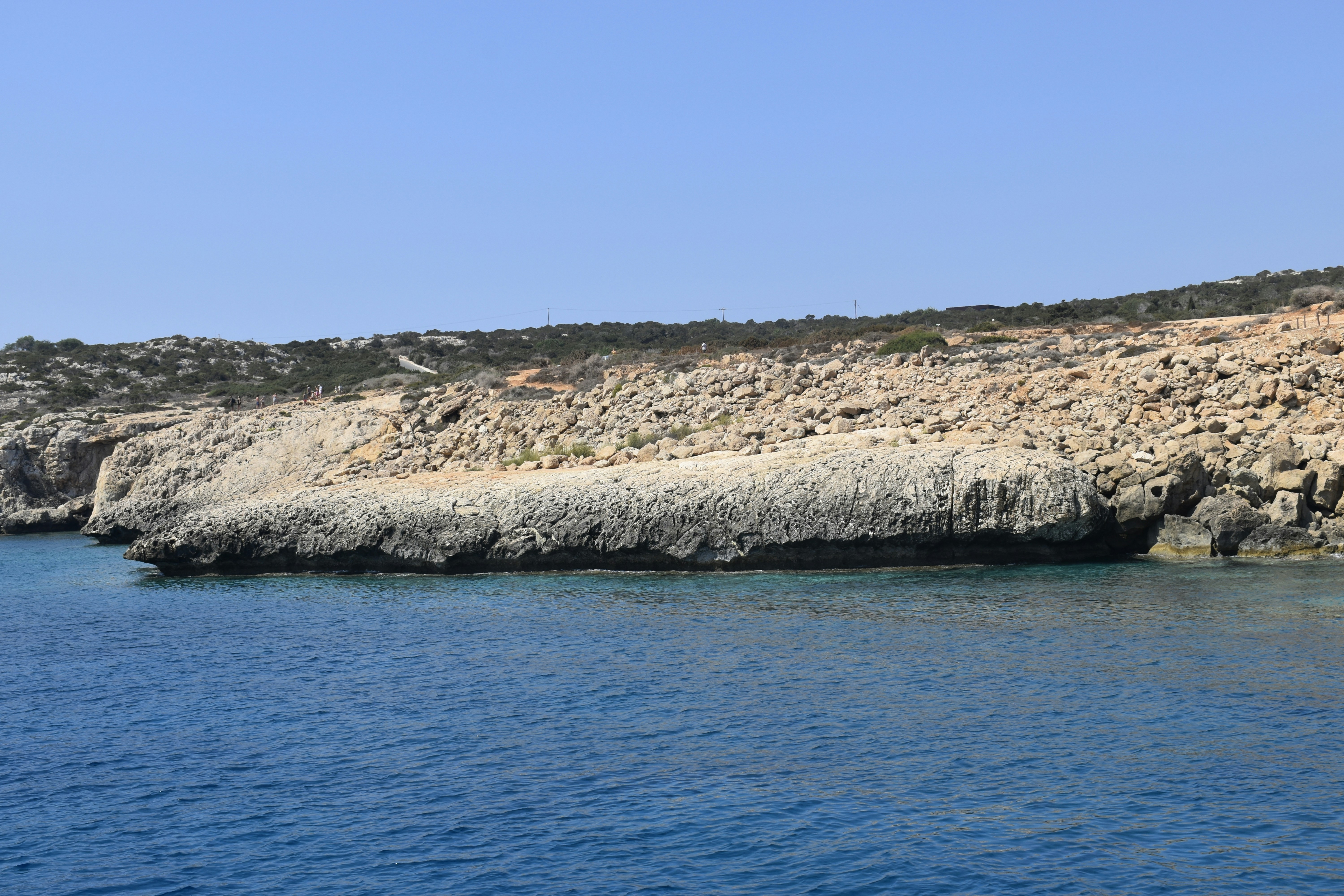 Photo by znphotogarphy