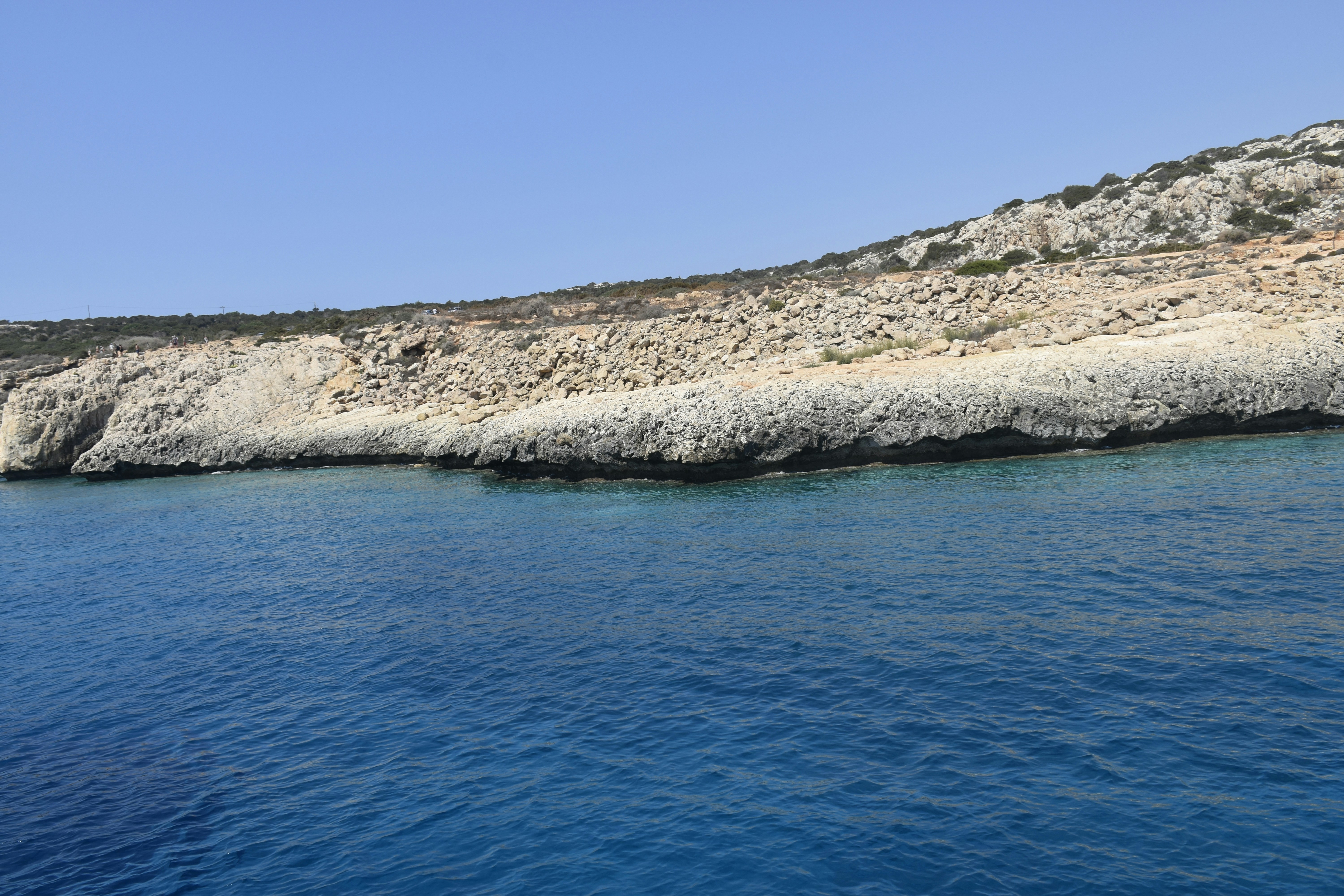 Photo by znphotogarphy