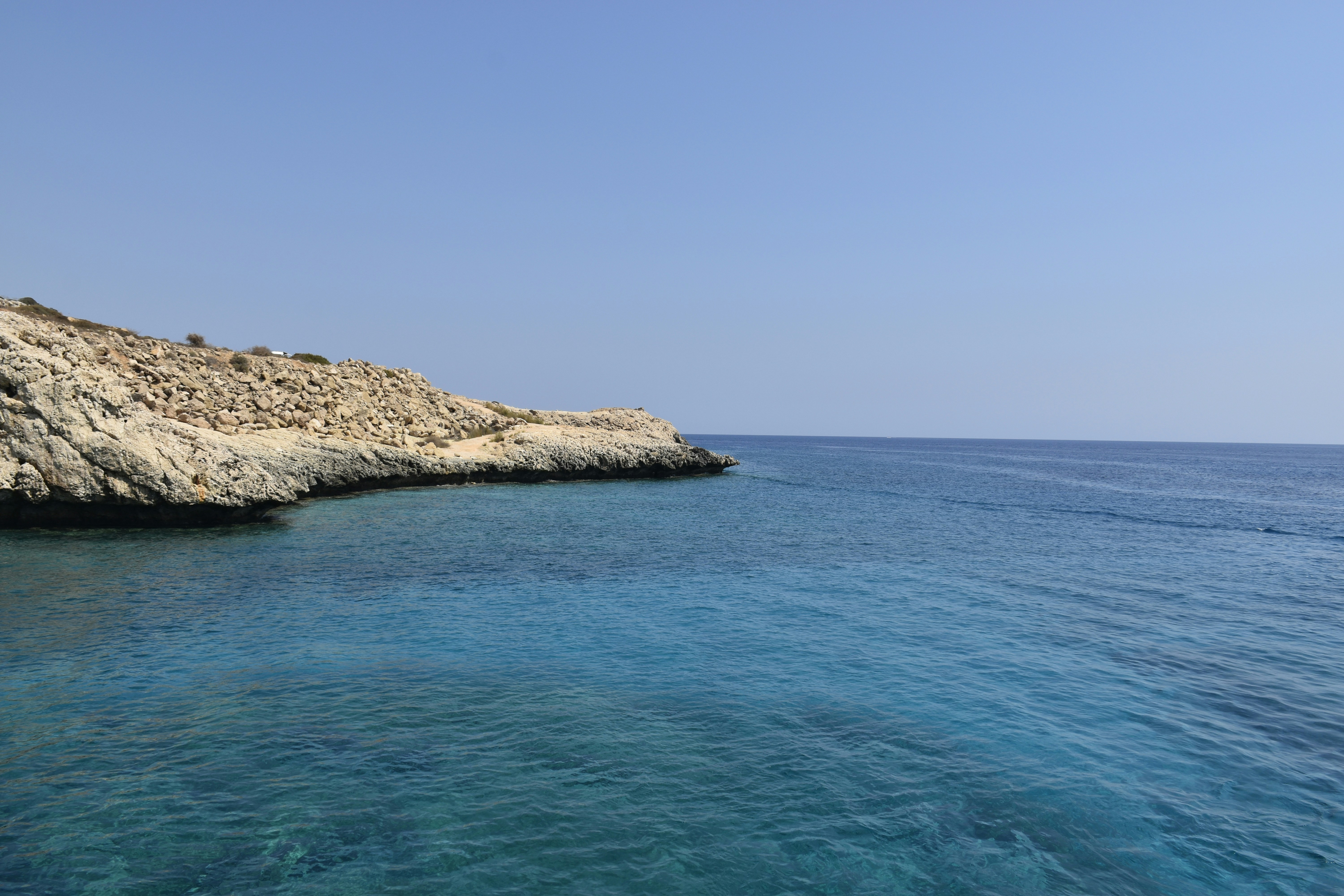 Photo by znphotogarphy