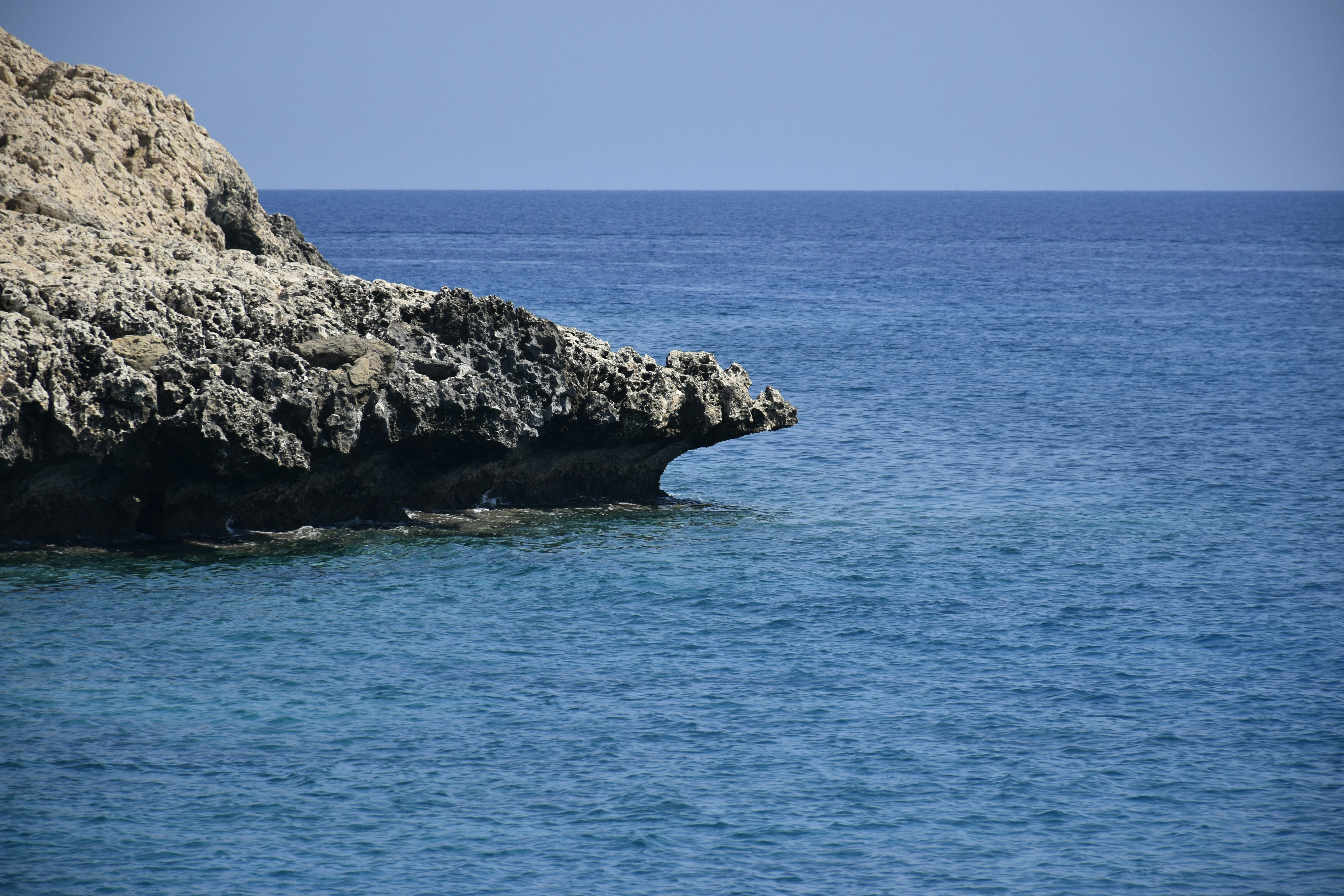 Photo by znphotogarphy