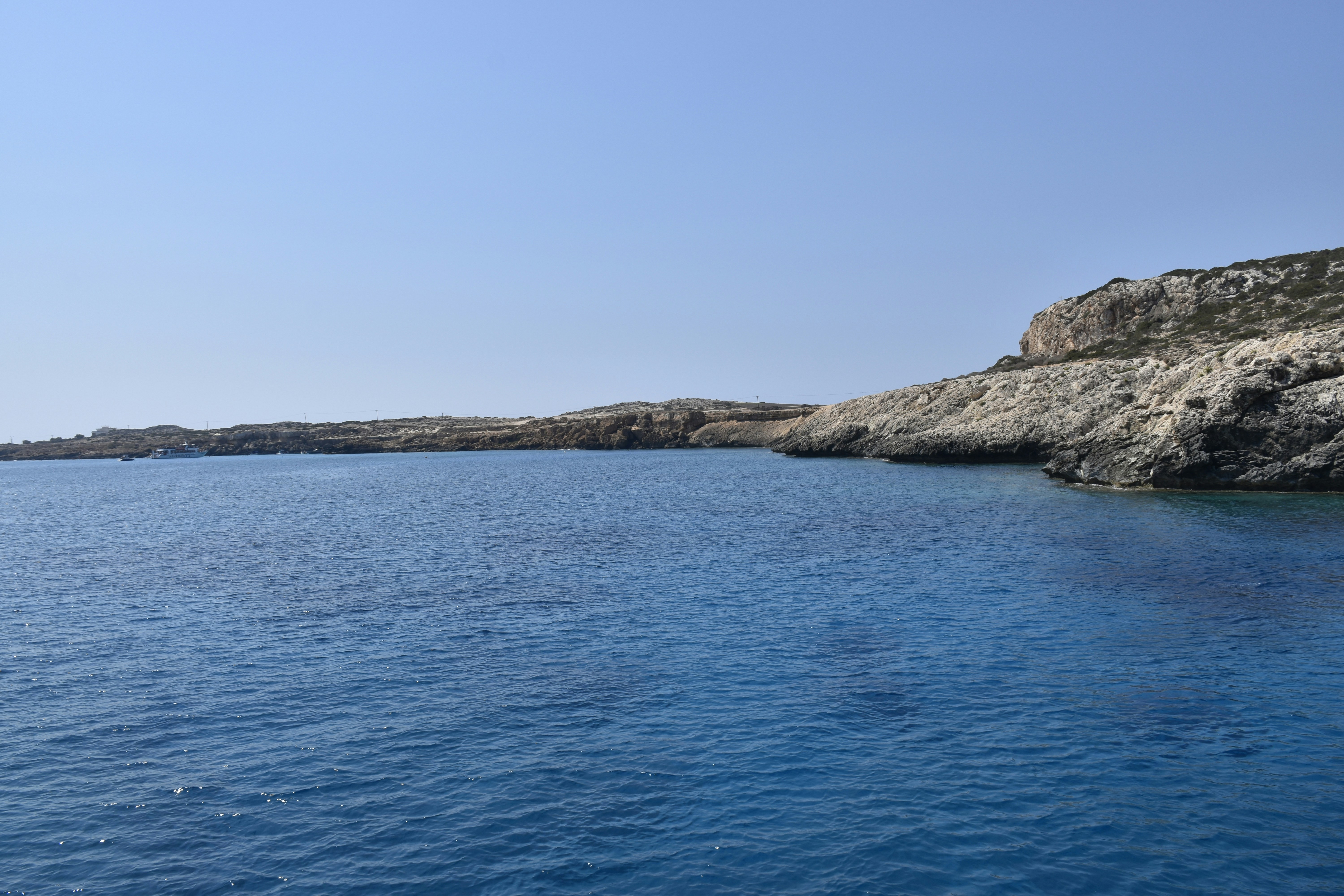 Photo by znphotogarphy