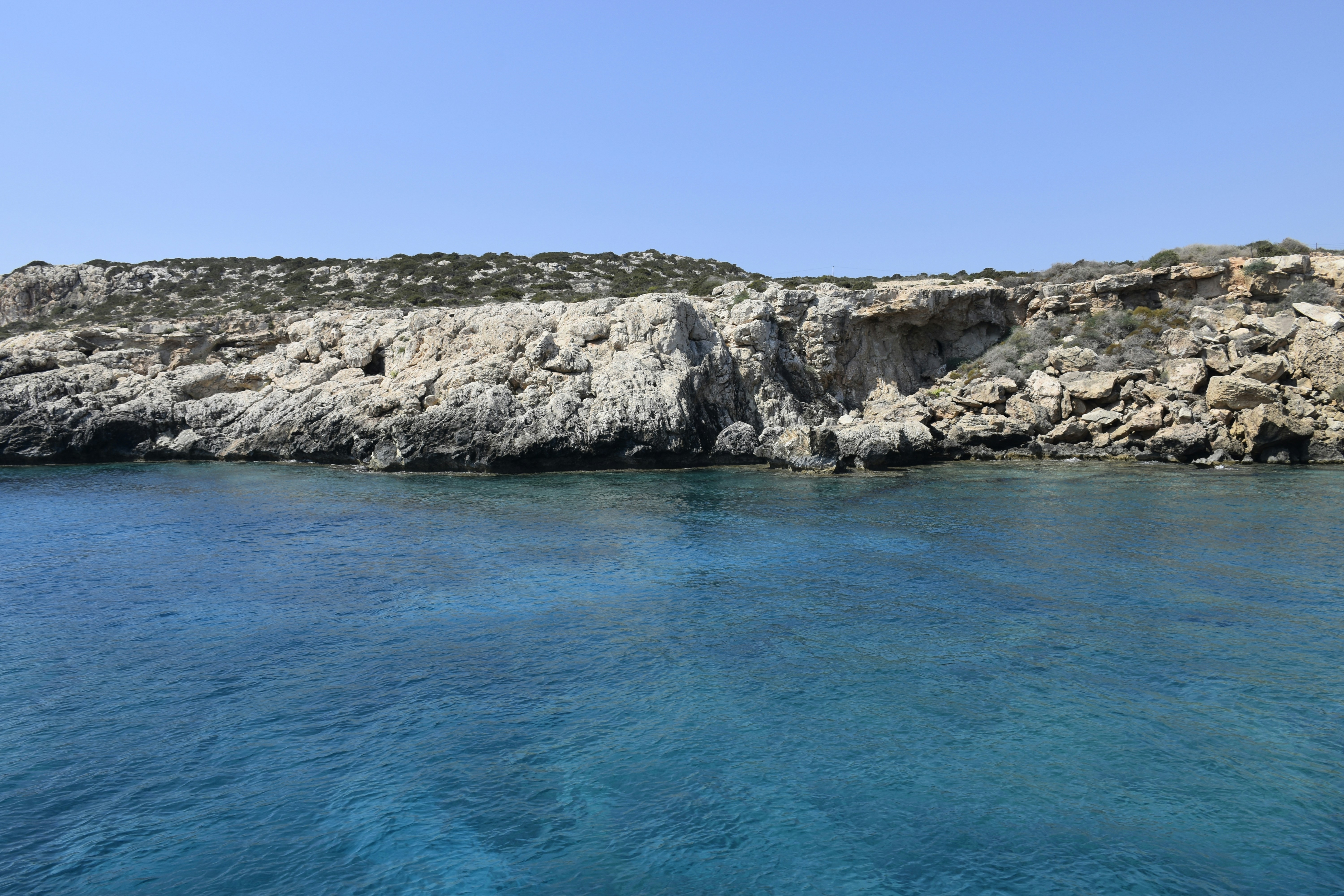 Photo by znphotogarphy