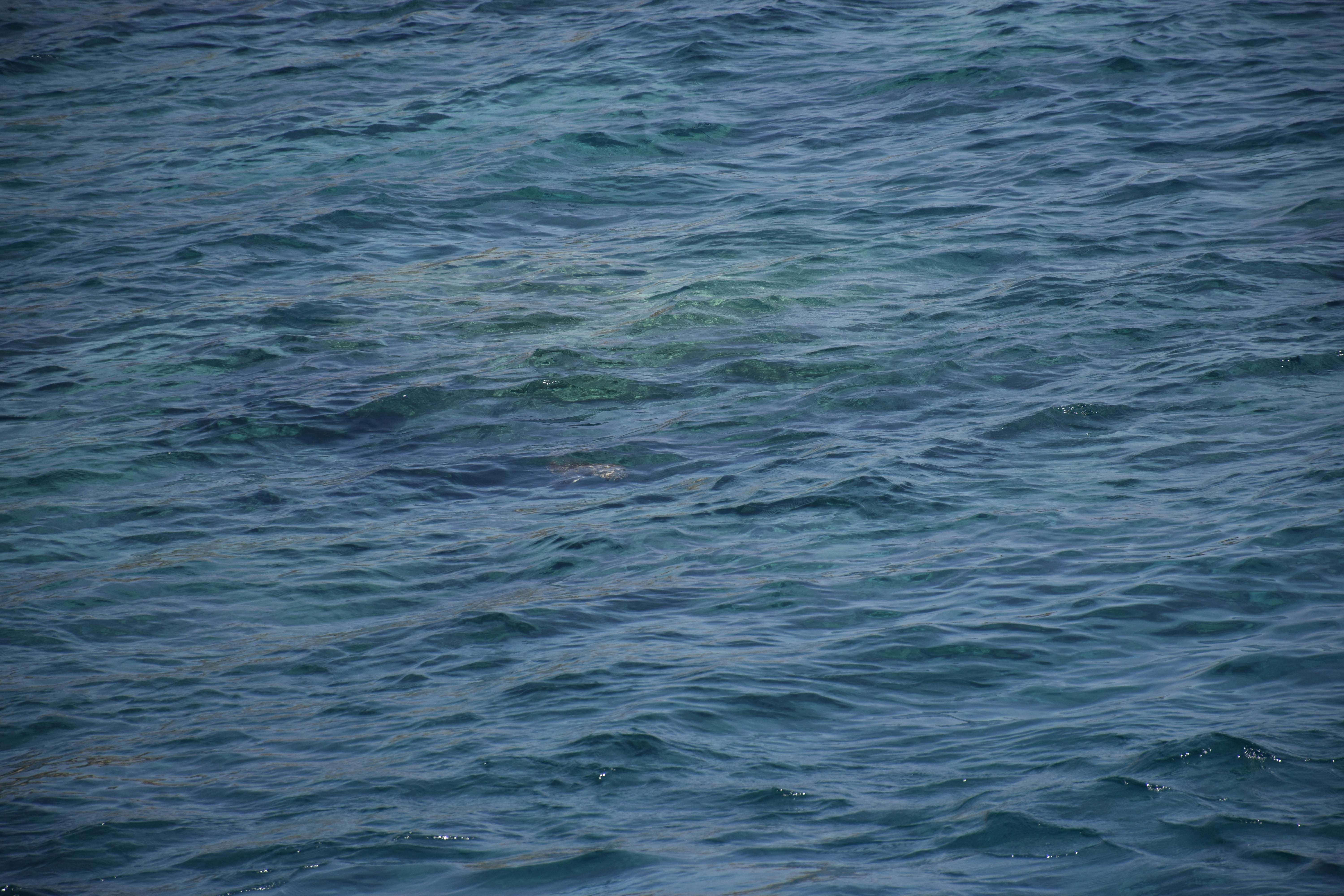 Photo by znphotogarphy