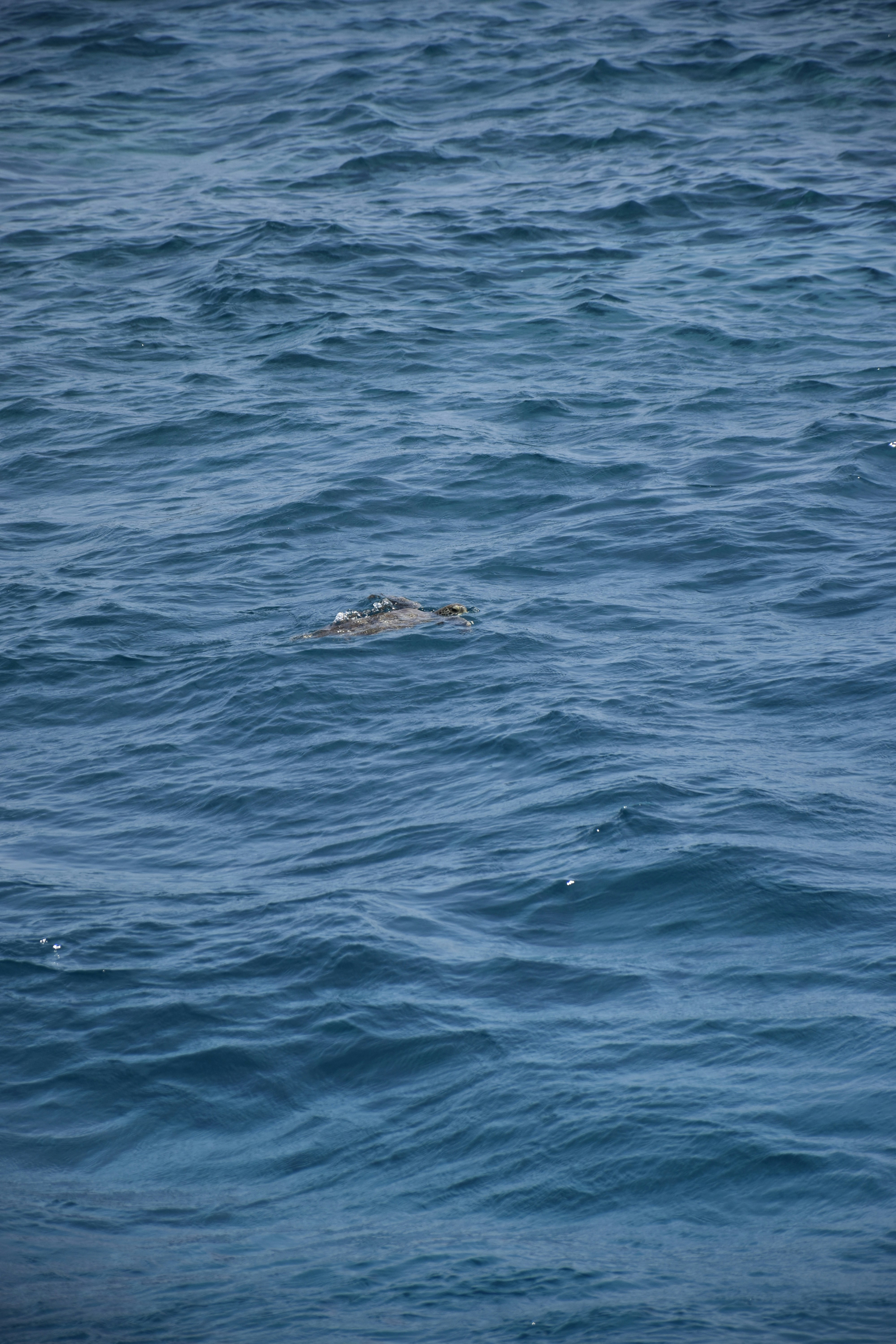 Photo by znphotogarphy