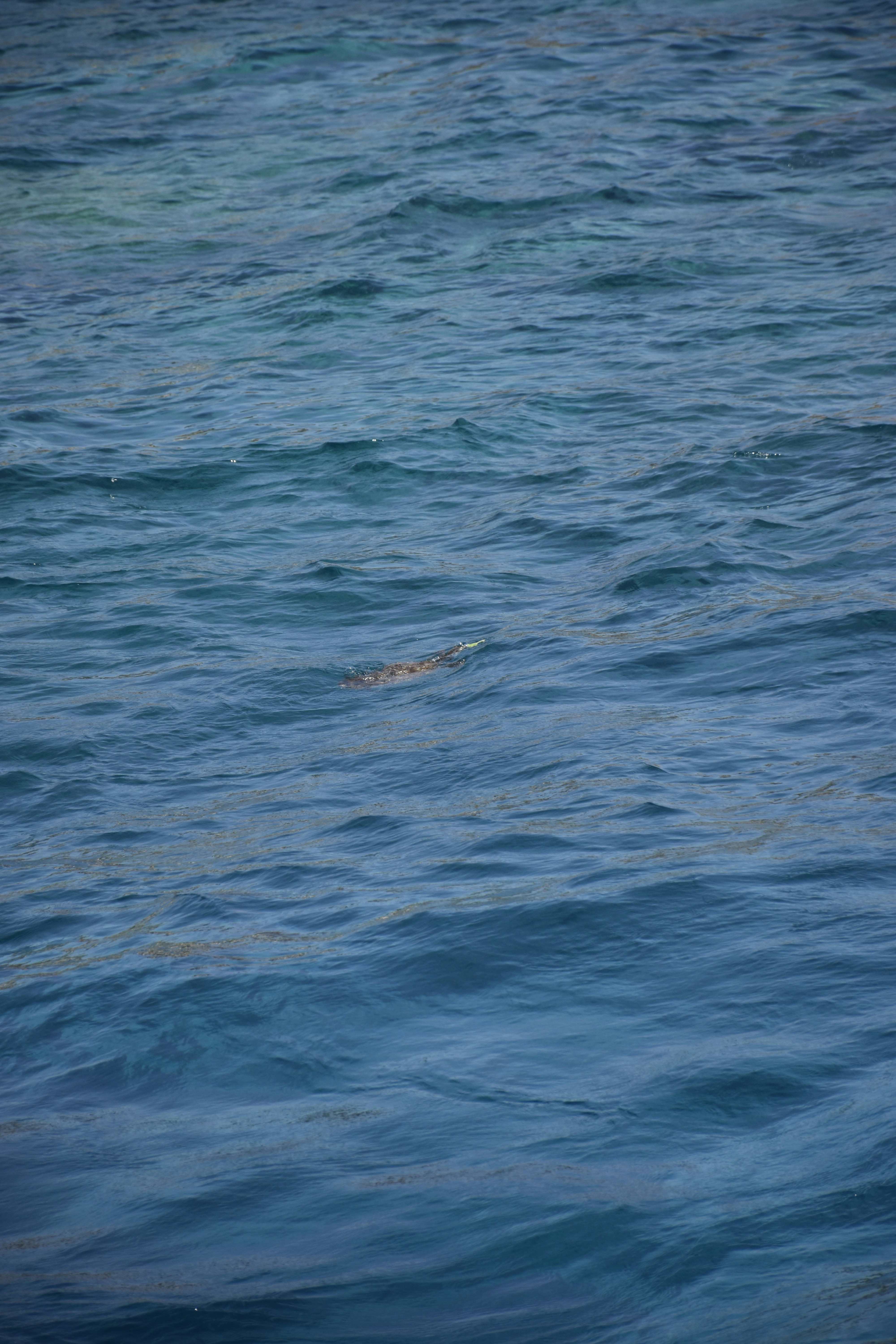 Photo by znphotogarphy