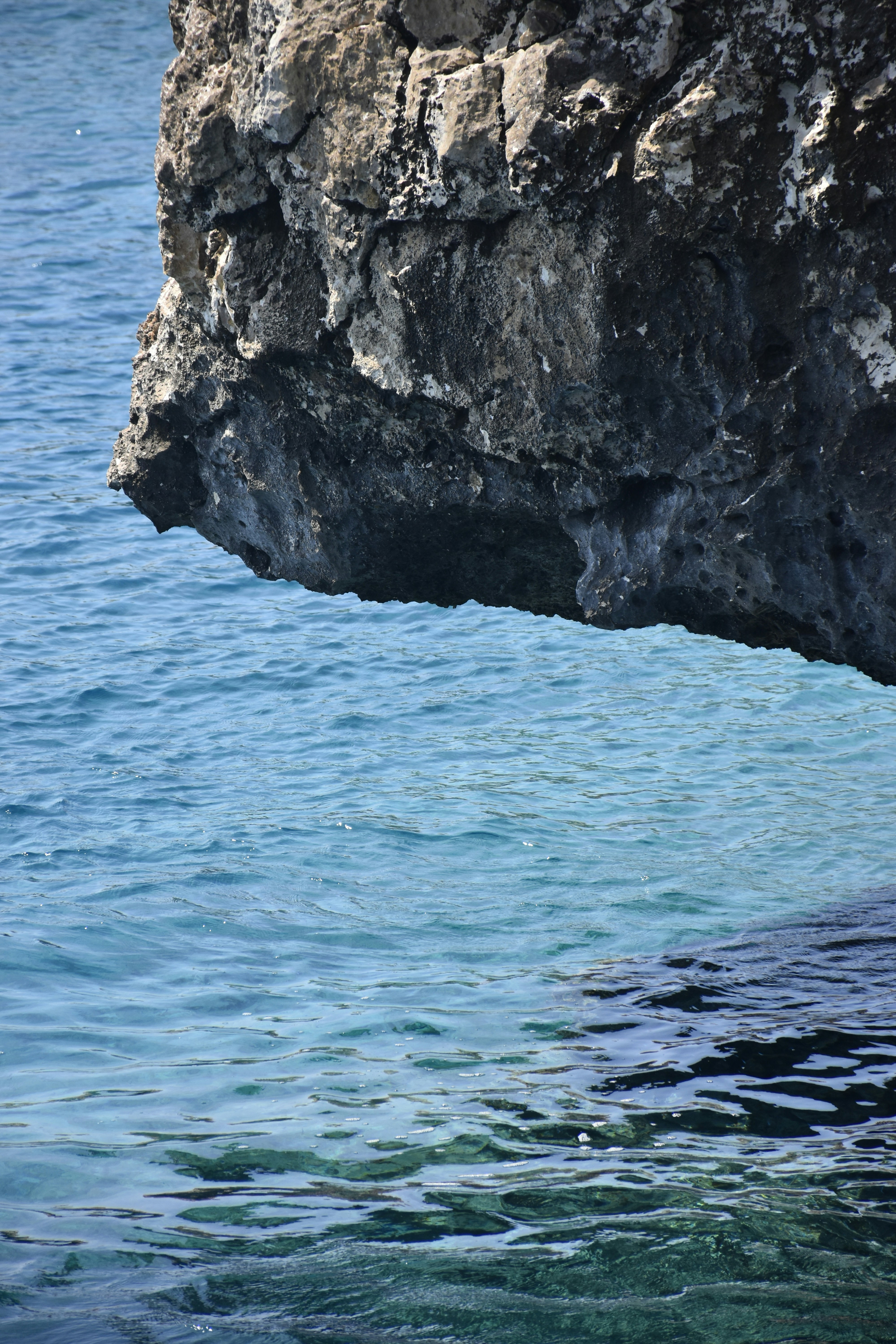 Photo by znphotogarphy