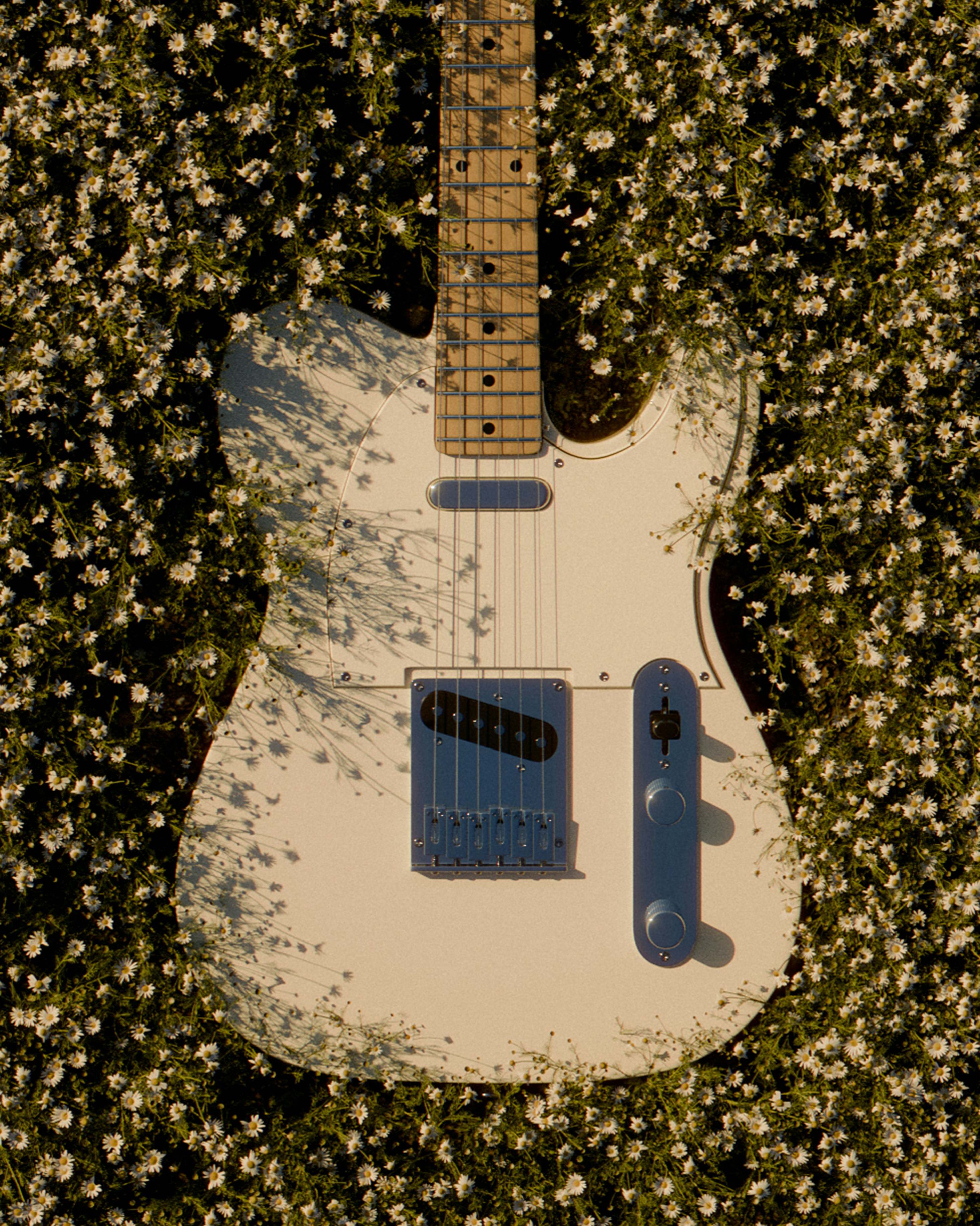 Gitar putih duduk di atas ladang bunga