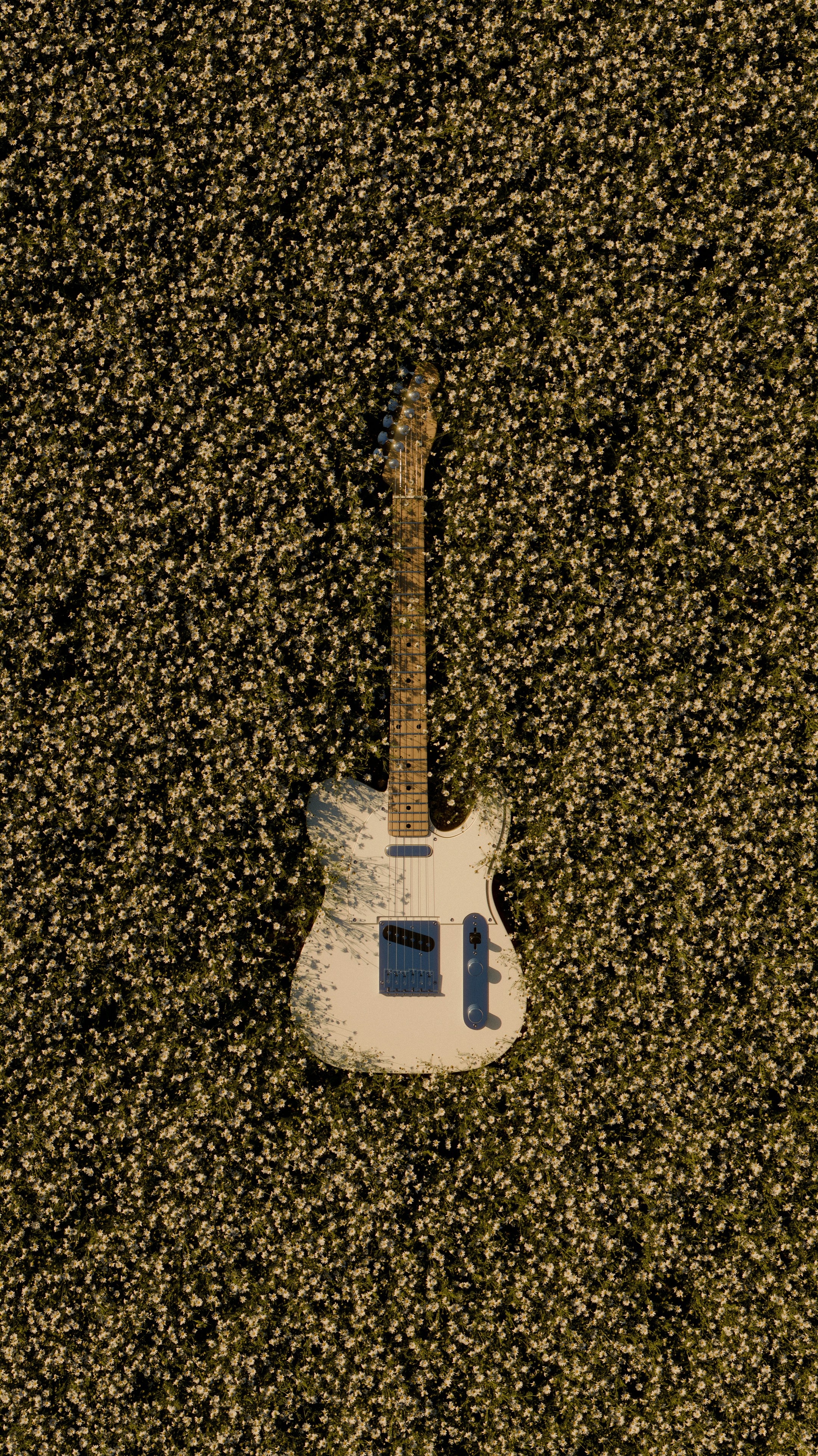 Gitar yang tergeletak di tanah