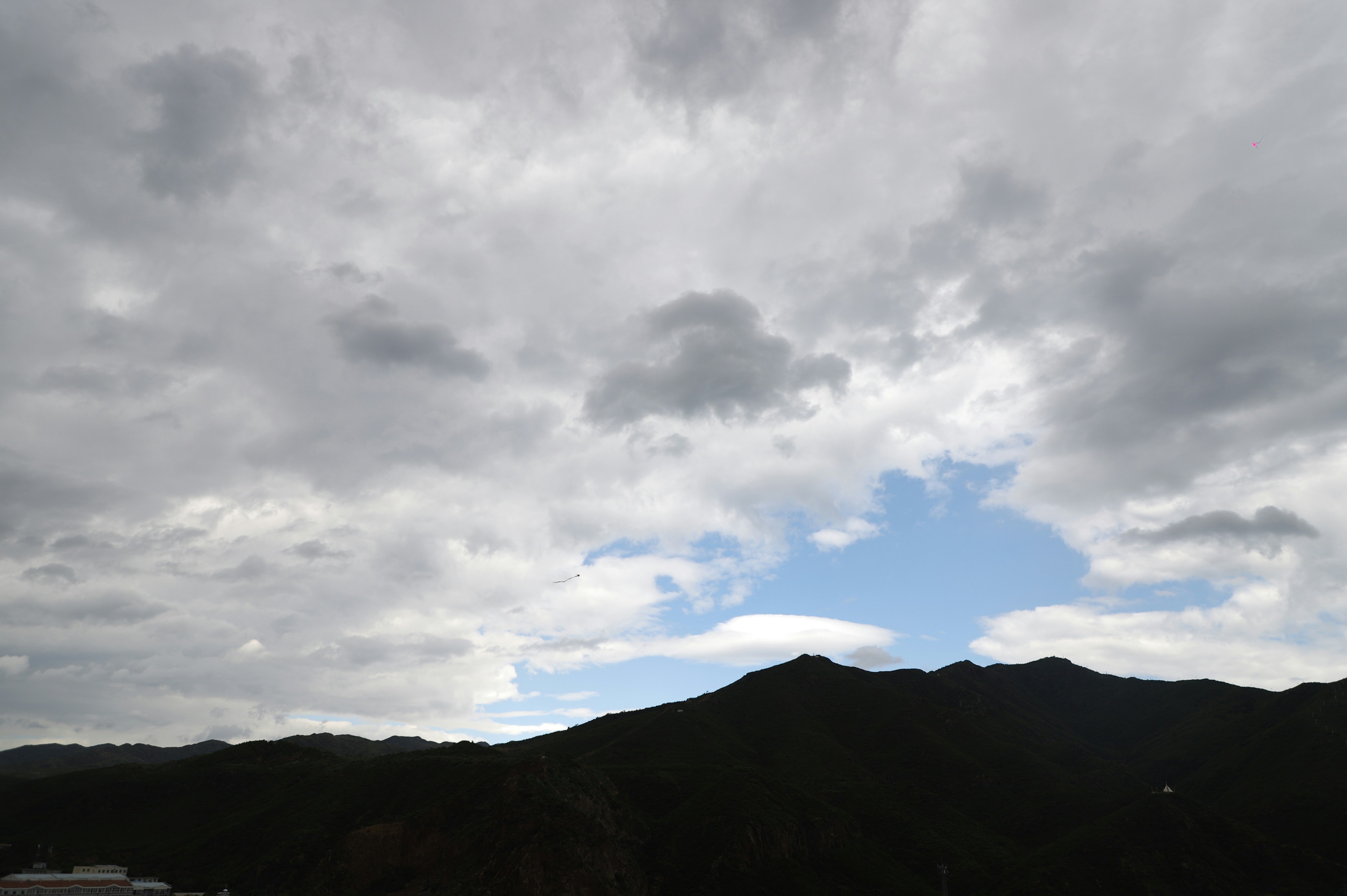 Photo by luellawong
