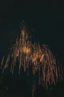 비와코 불꽃놀이