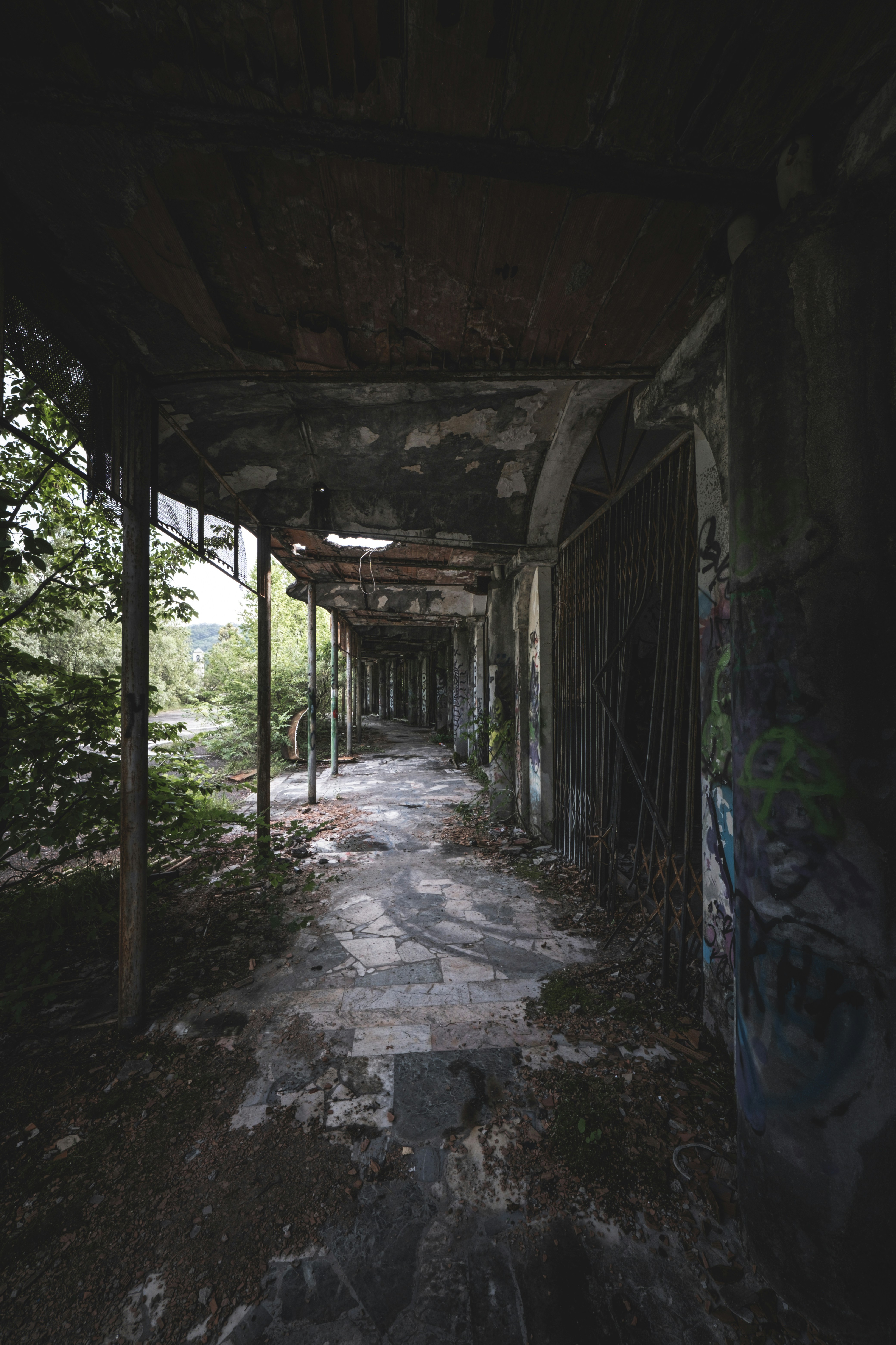 Photo by francesco_ungaro