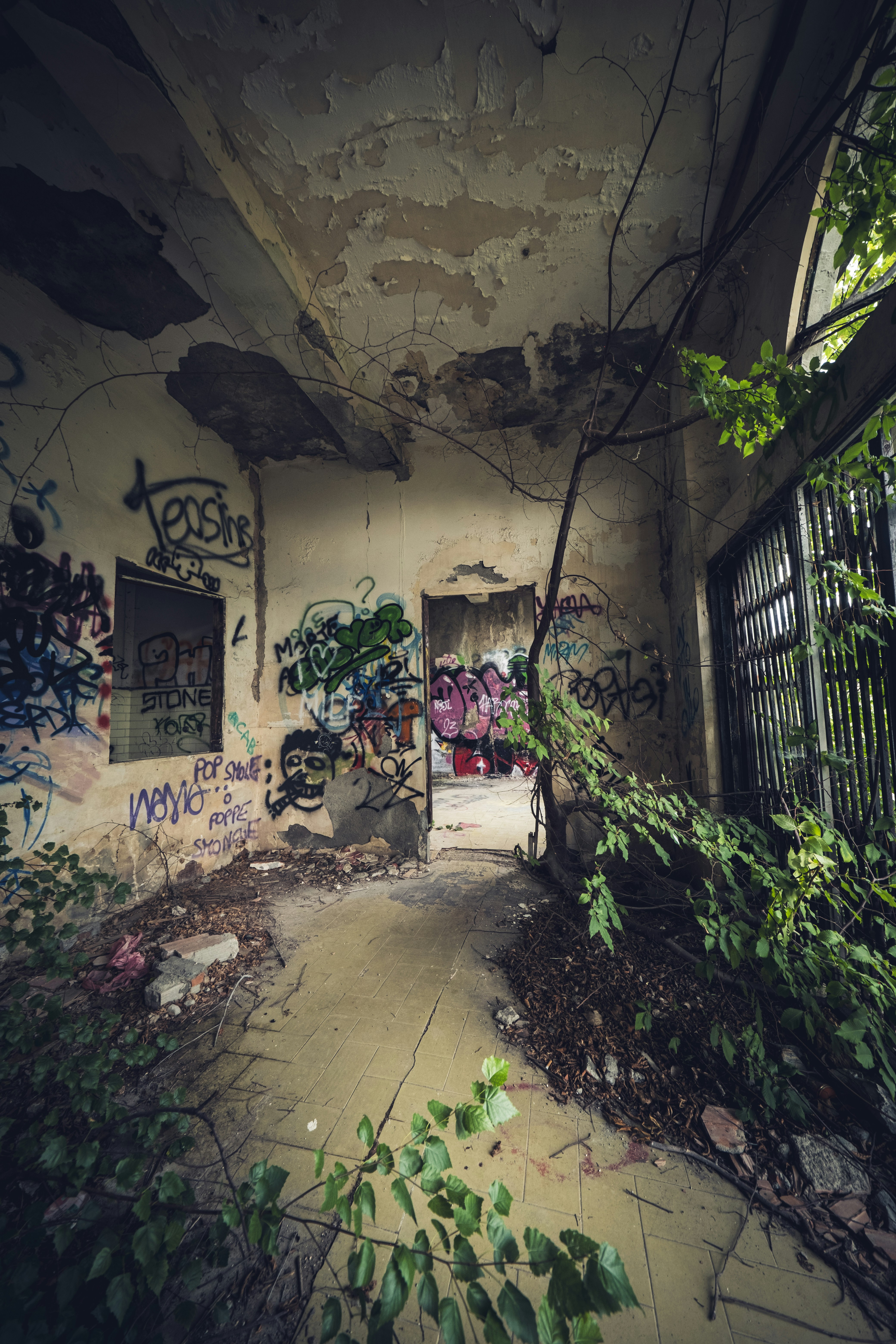 Photo by francesco_ungaro