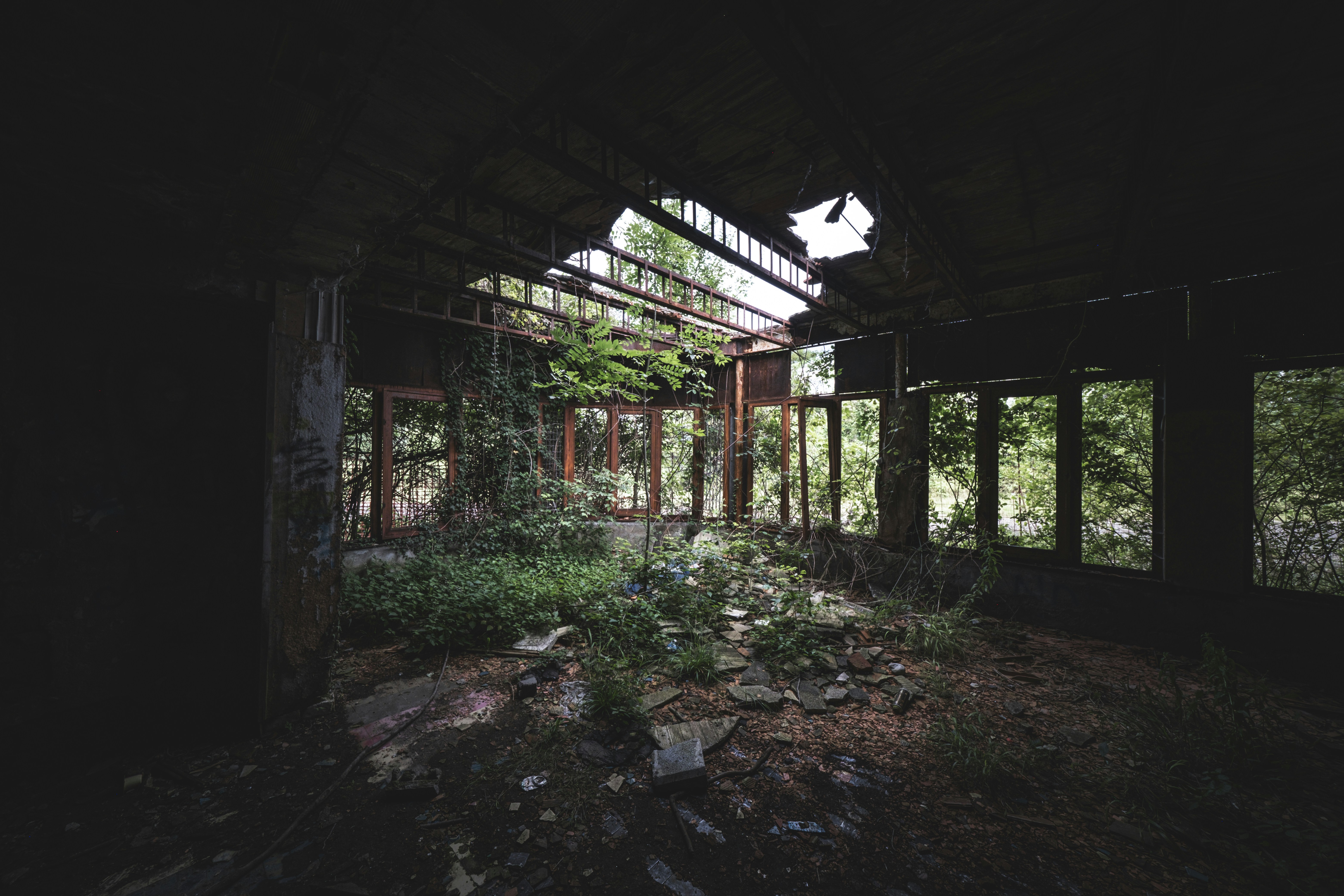 Photo by francesco_ungaro