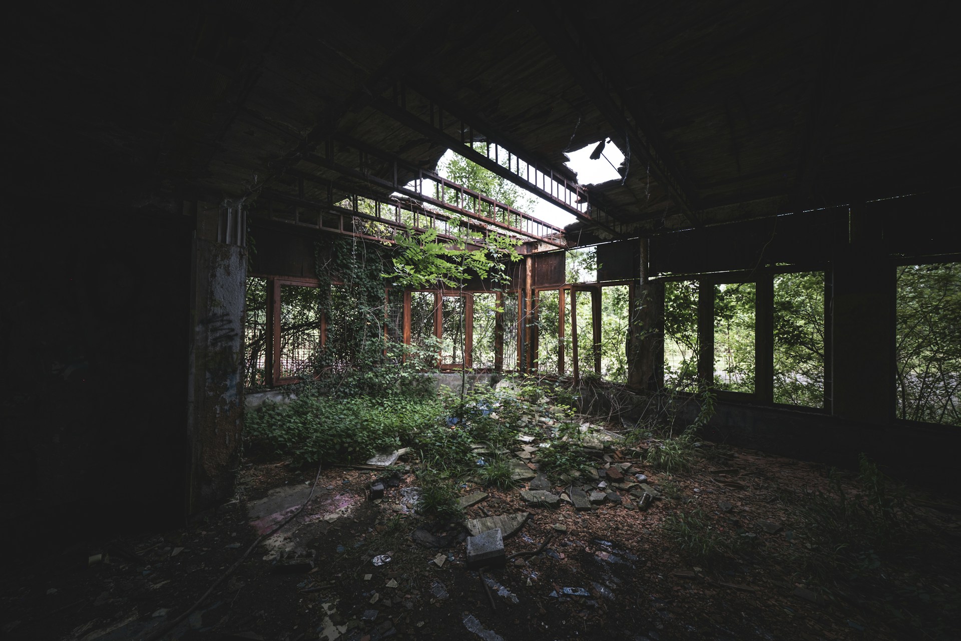 An abandoned building in the middle of a forest