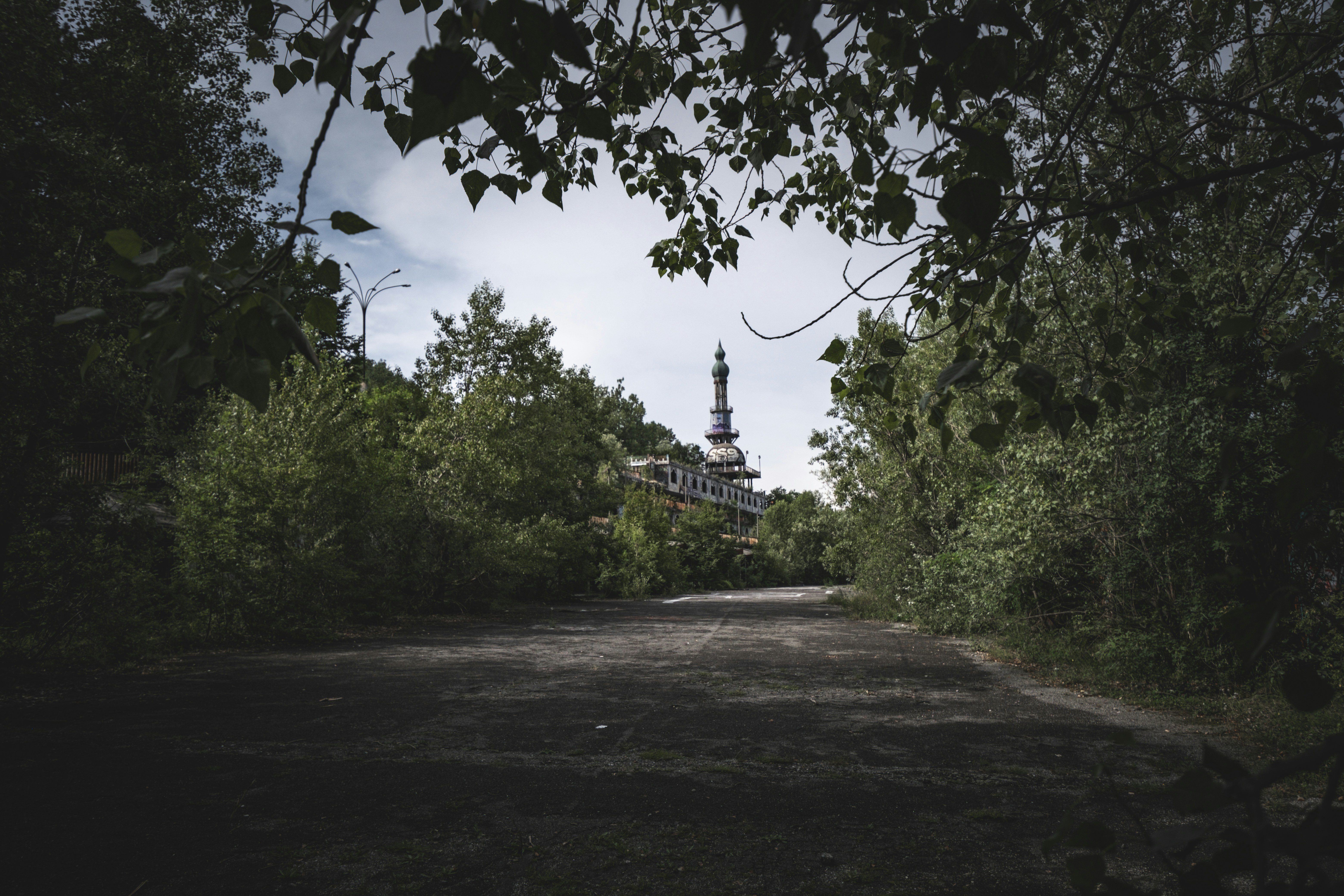 Photo by francesco_ungaro