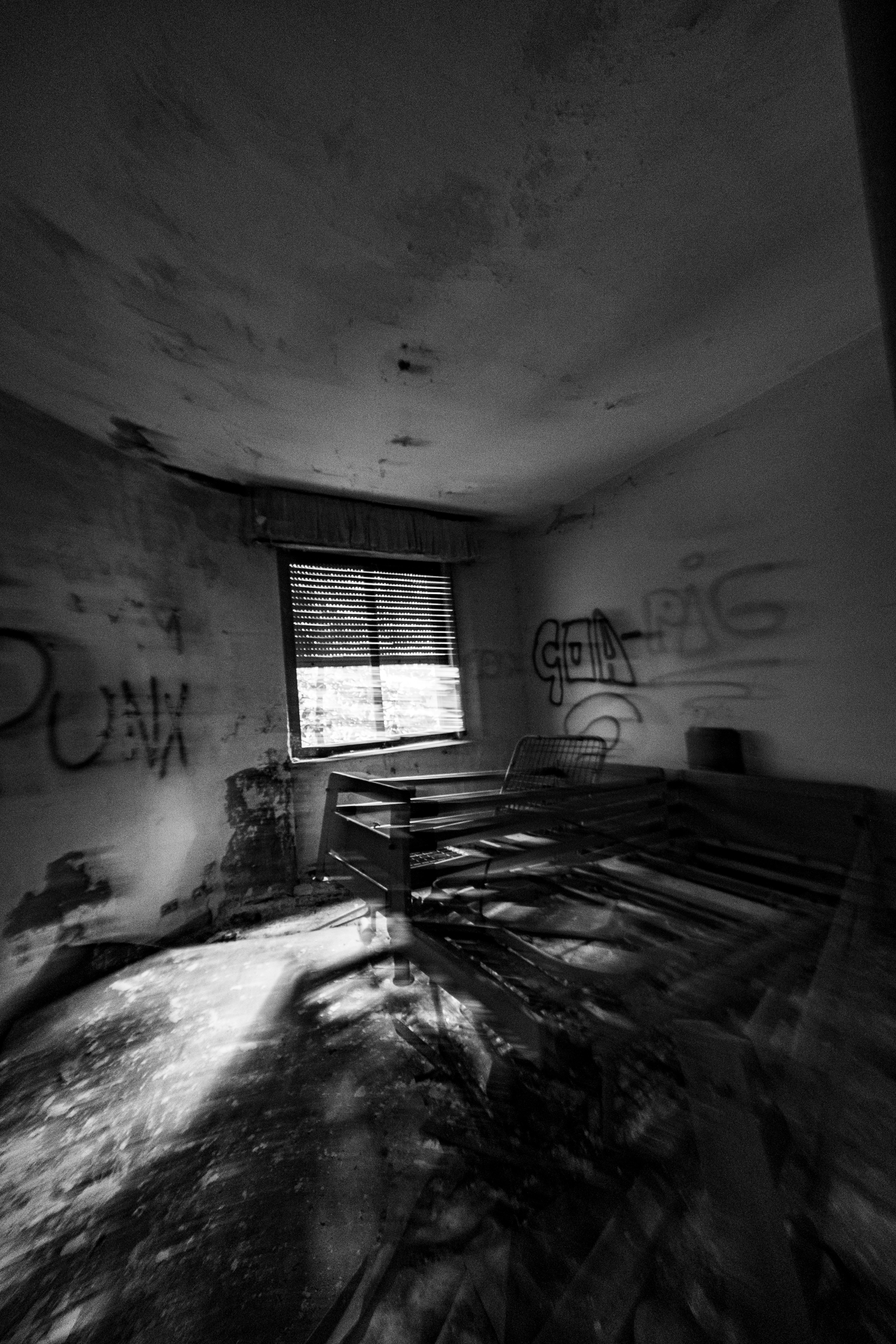 Photo by francesco_ungaro