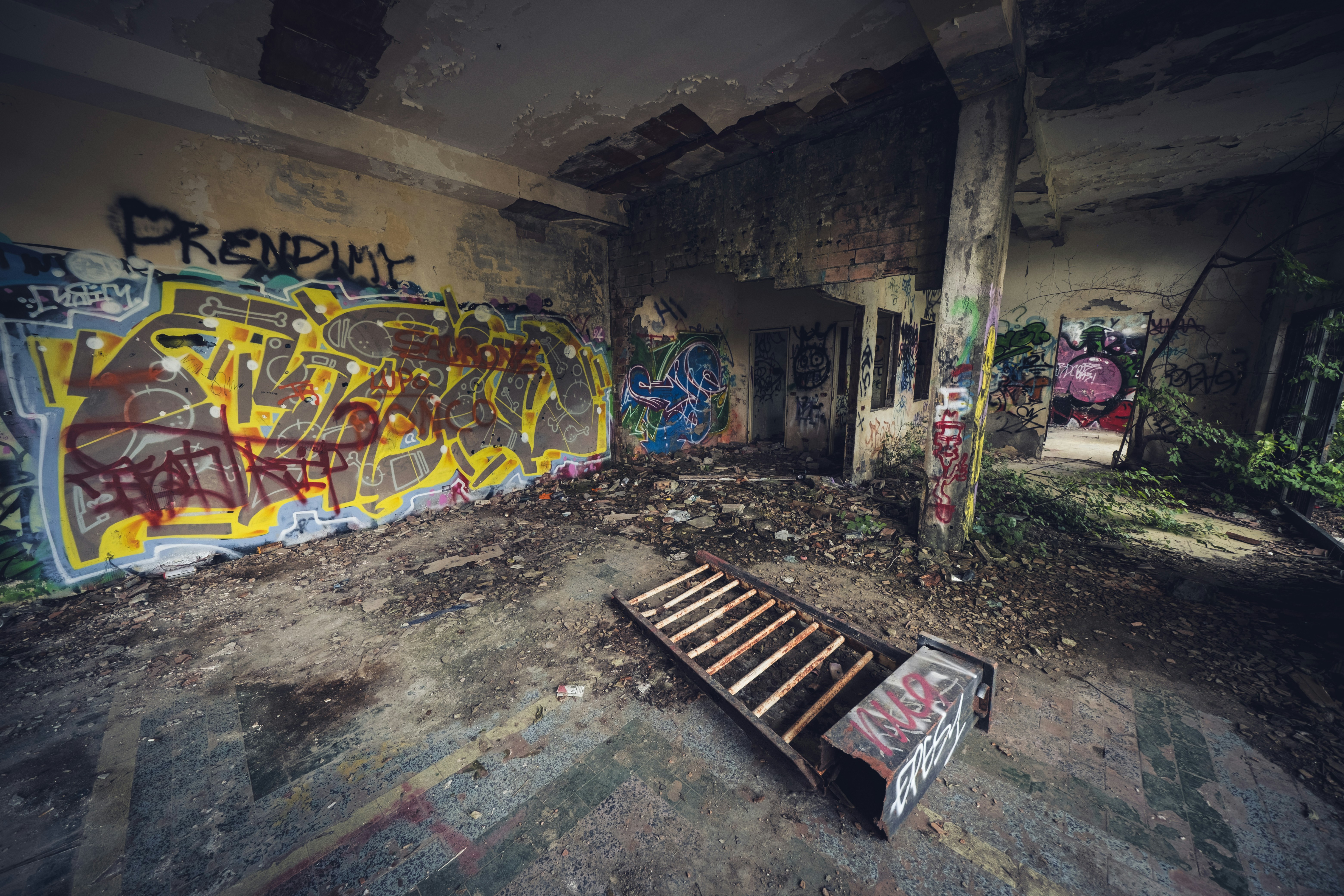 Photo by francesco_ungaro