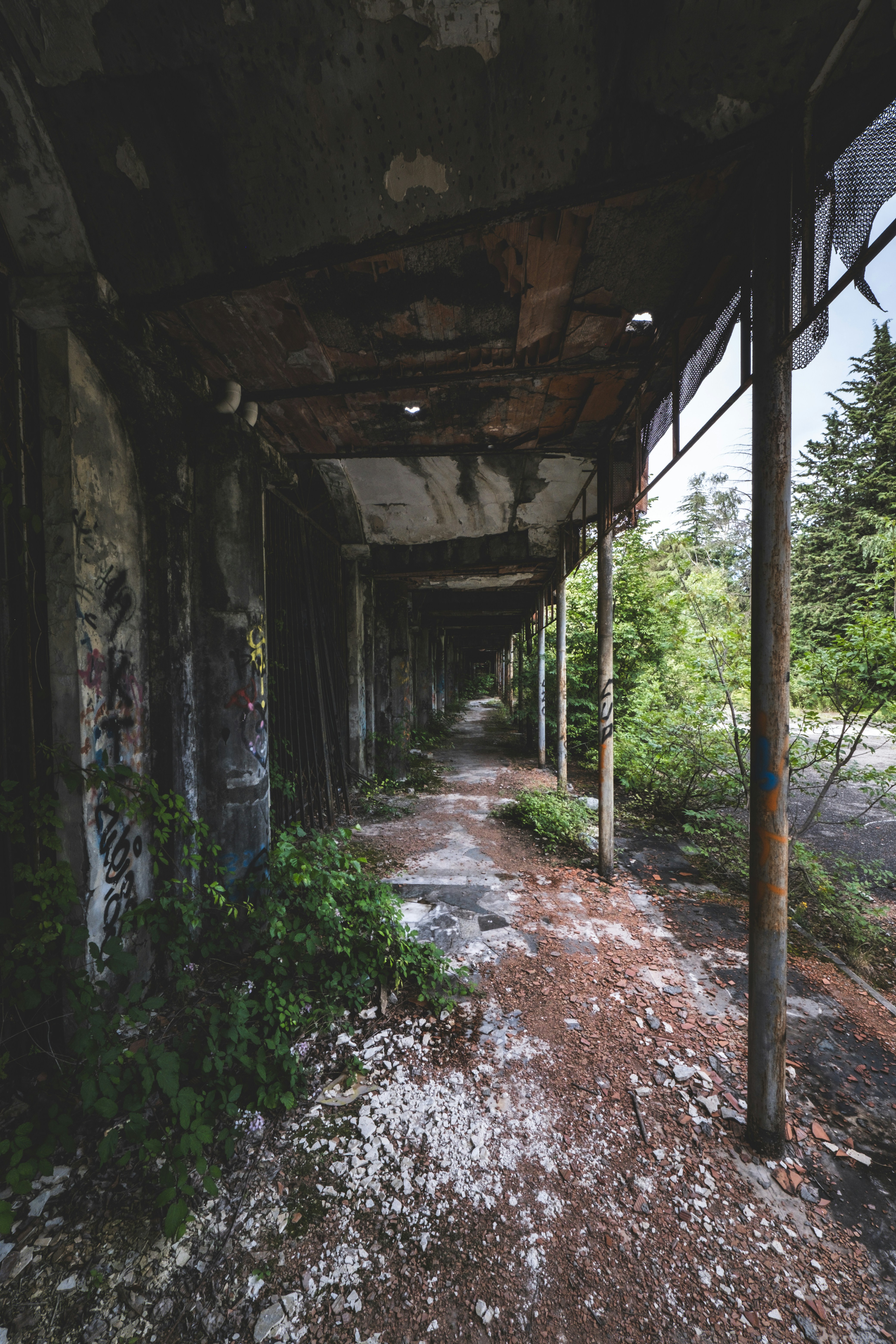 Photo by francesco_ungaro